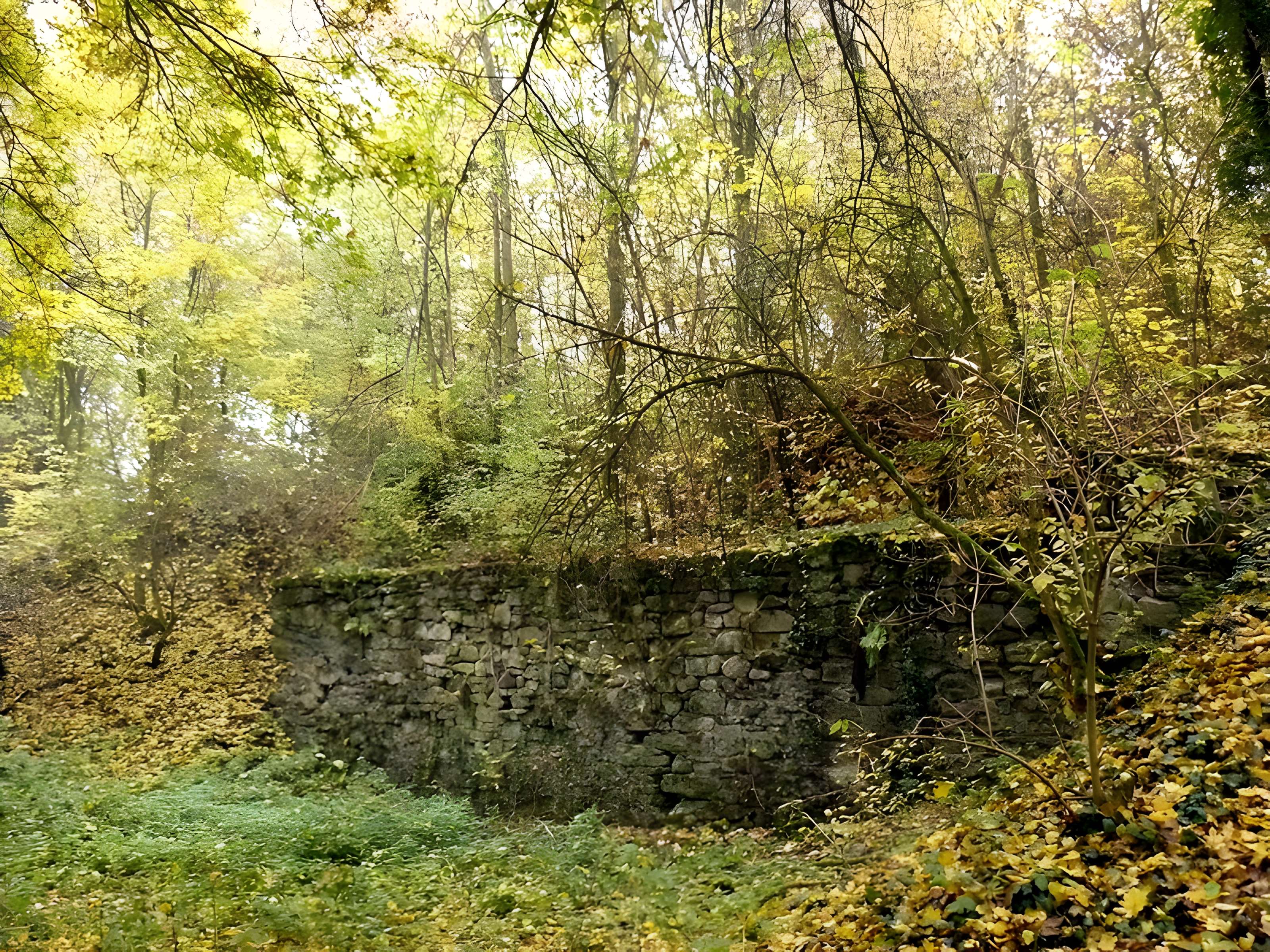 Vestiges du château de Butenheim