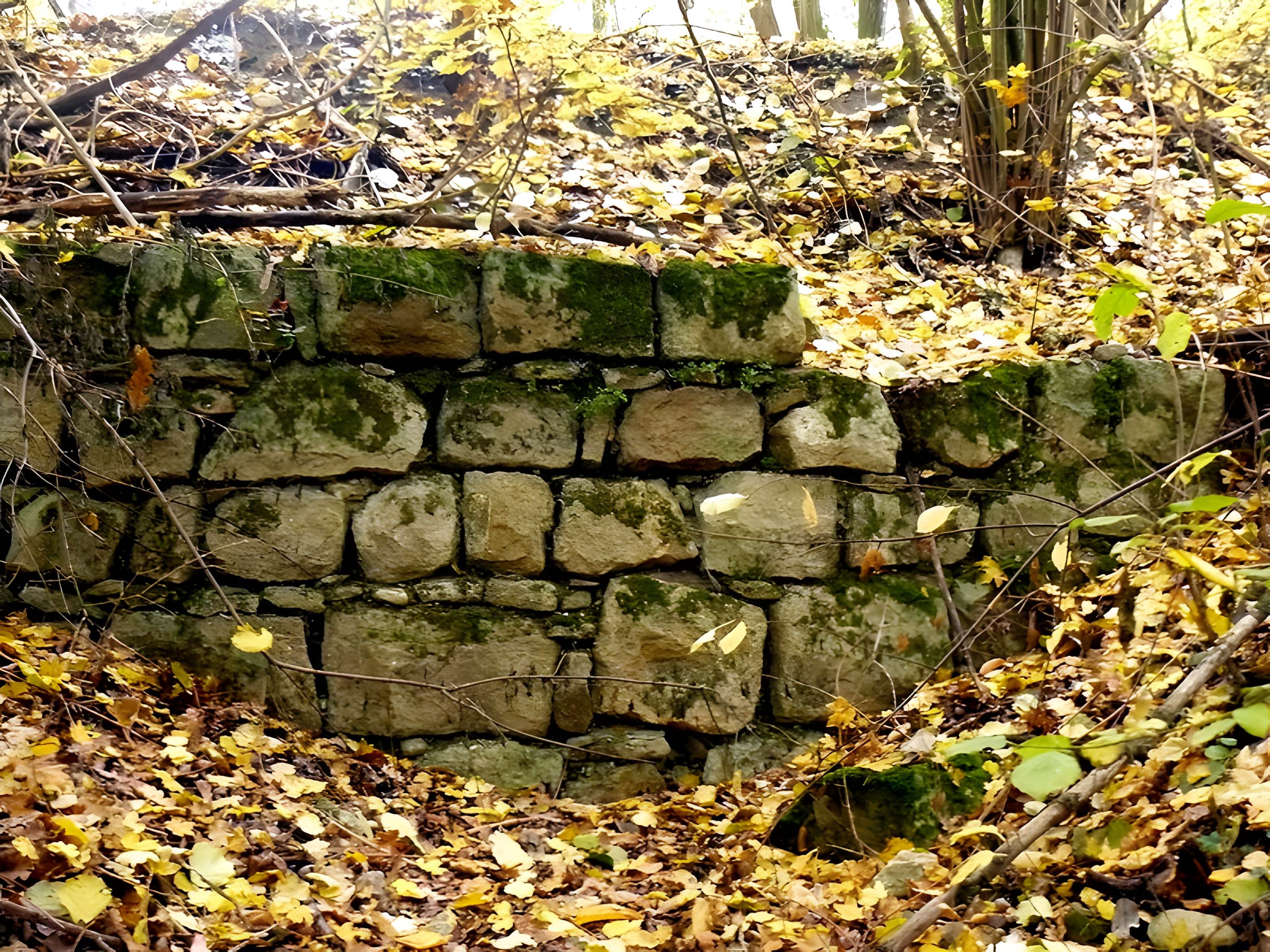 Vestiges du château de Butenheim