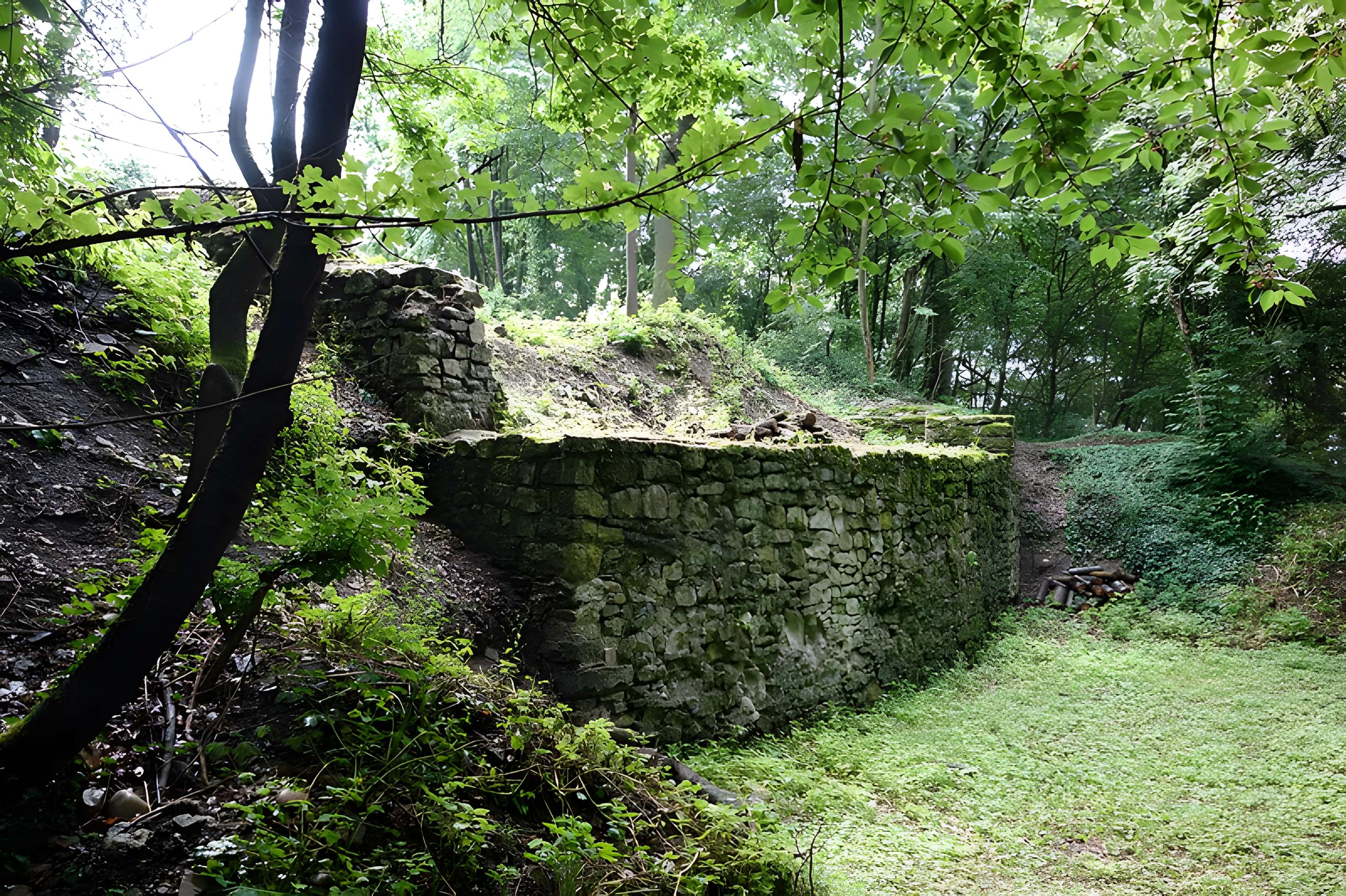 Vestiges du château de Butenheim