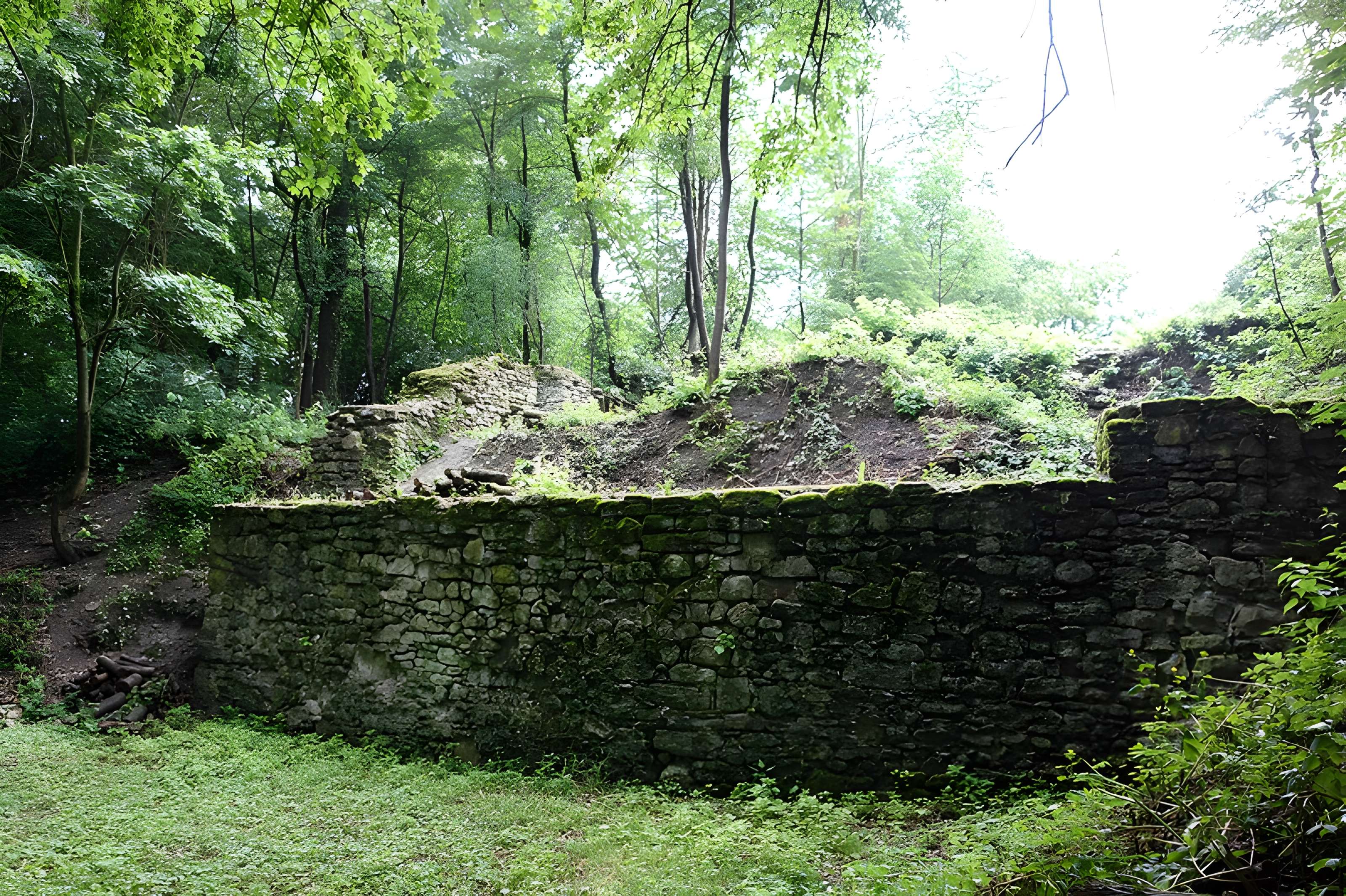 Vestiges du château de Butenheim