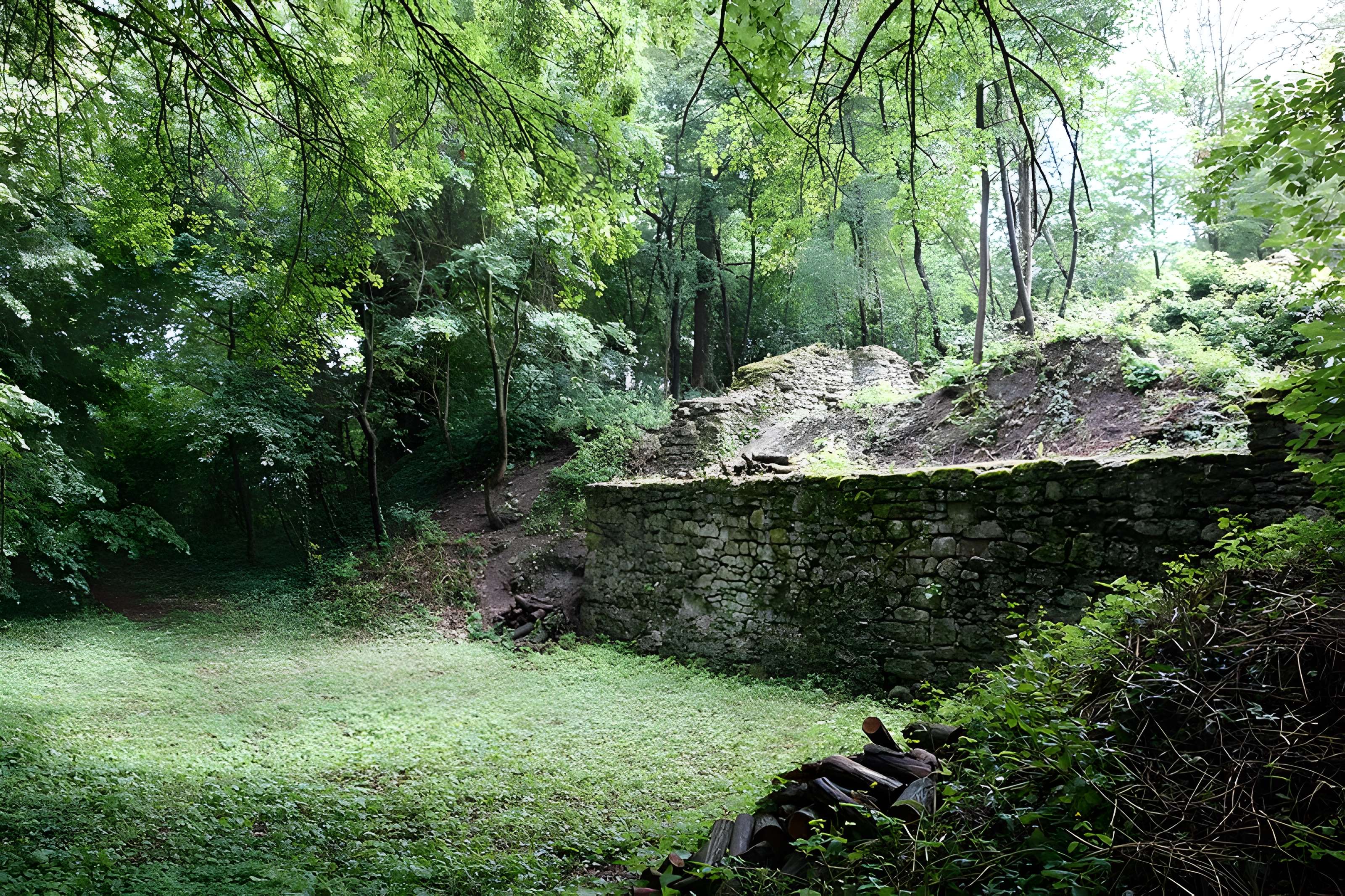 Vestiges du château de Butenheim