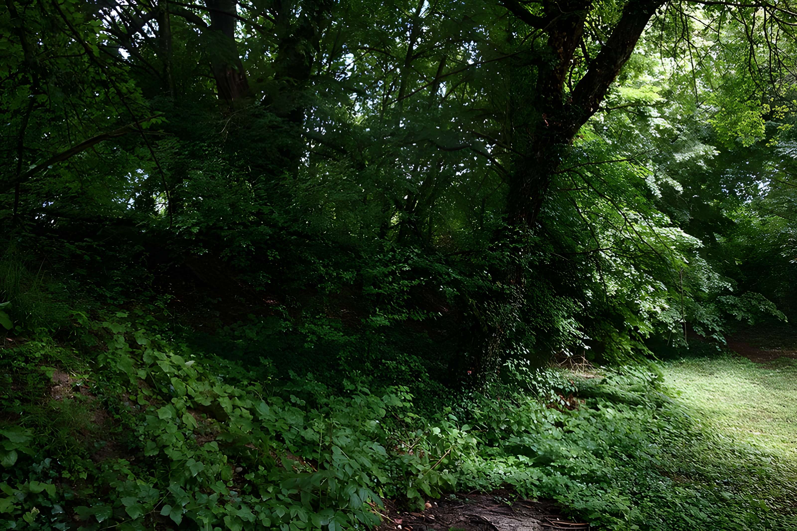 Vestiges du château de Butenheim