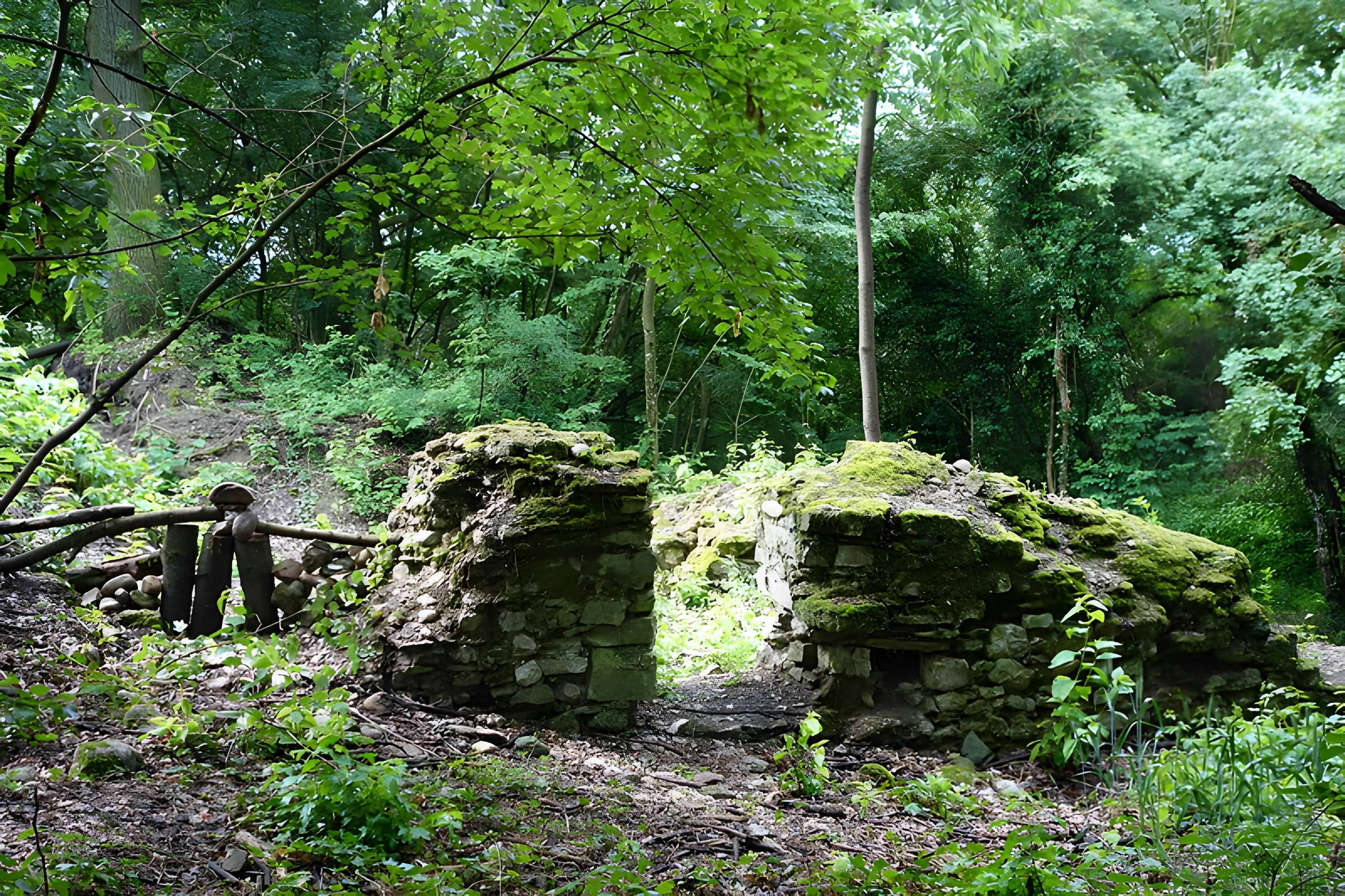 Vestiges du château de Butenheim