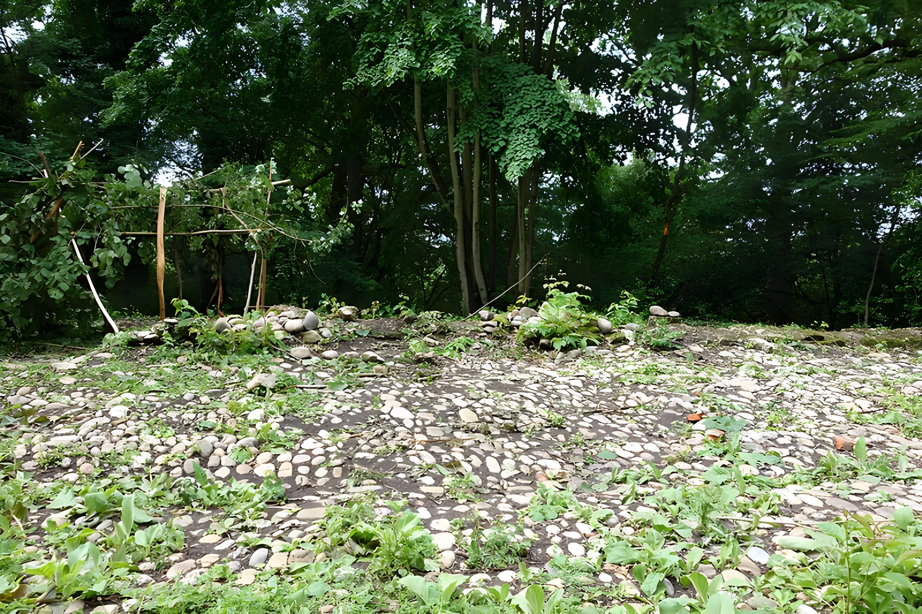 Vestiges du château de Butenheim