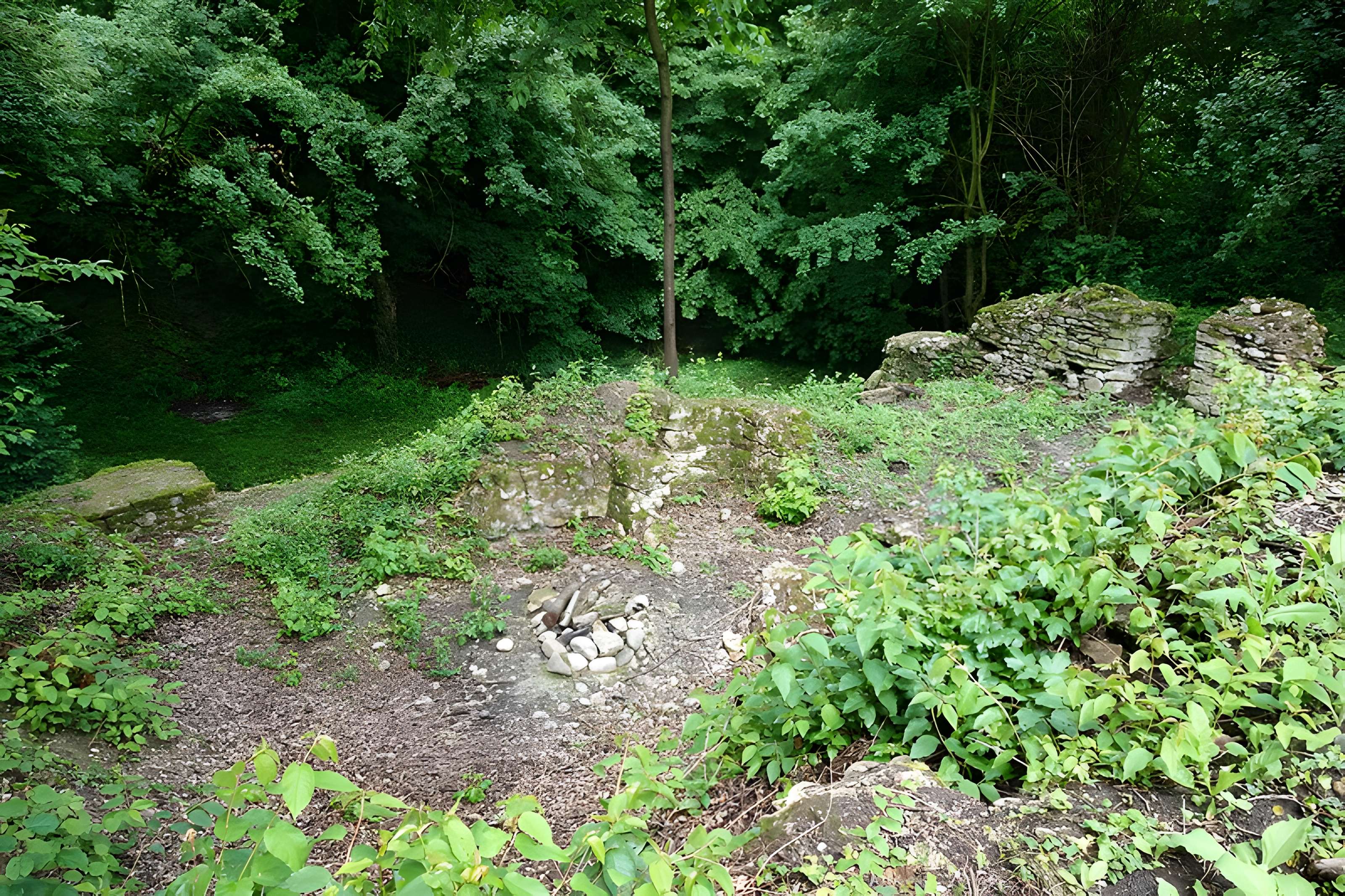 Vestiges du château de Butenheim