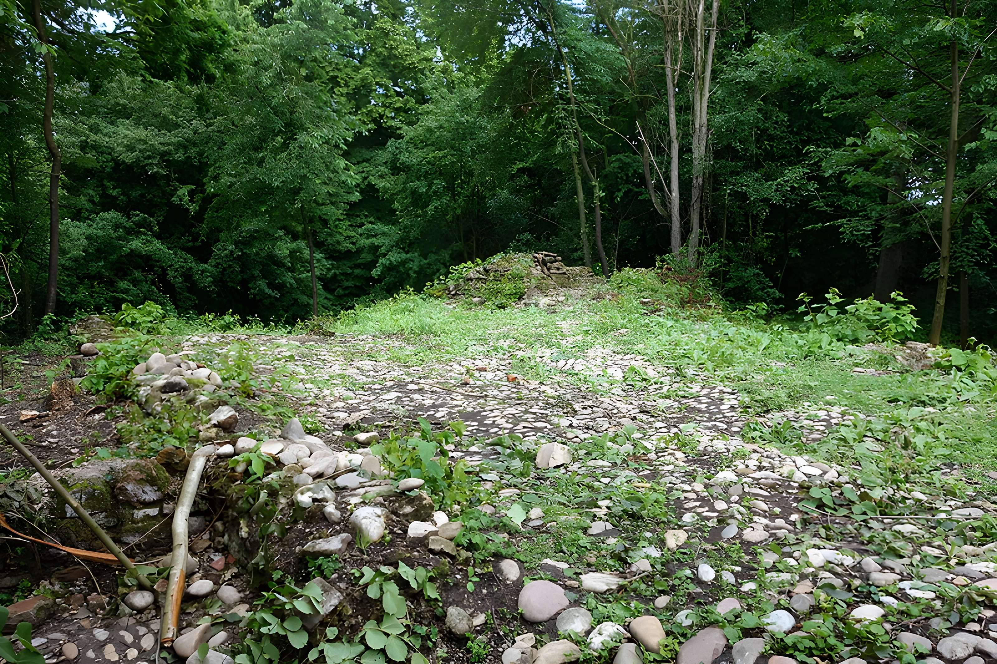 Vestiges du château de Butenheim