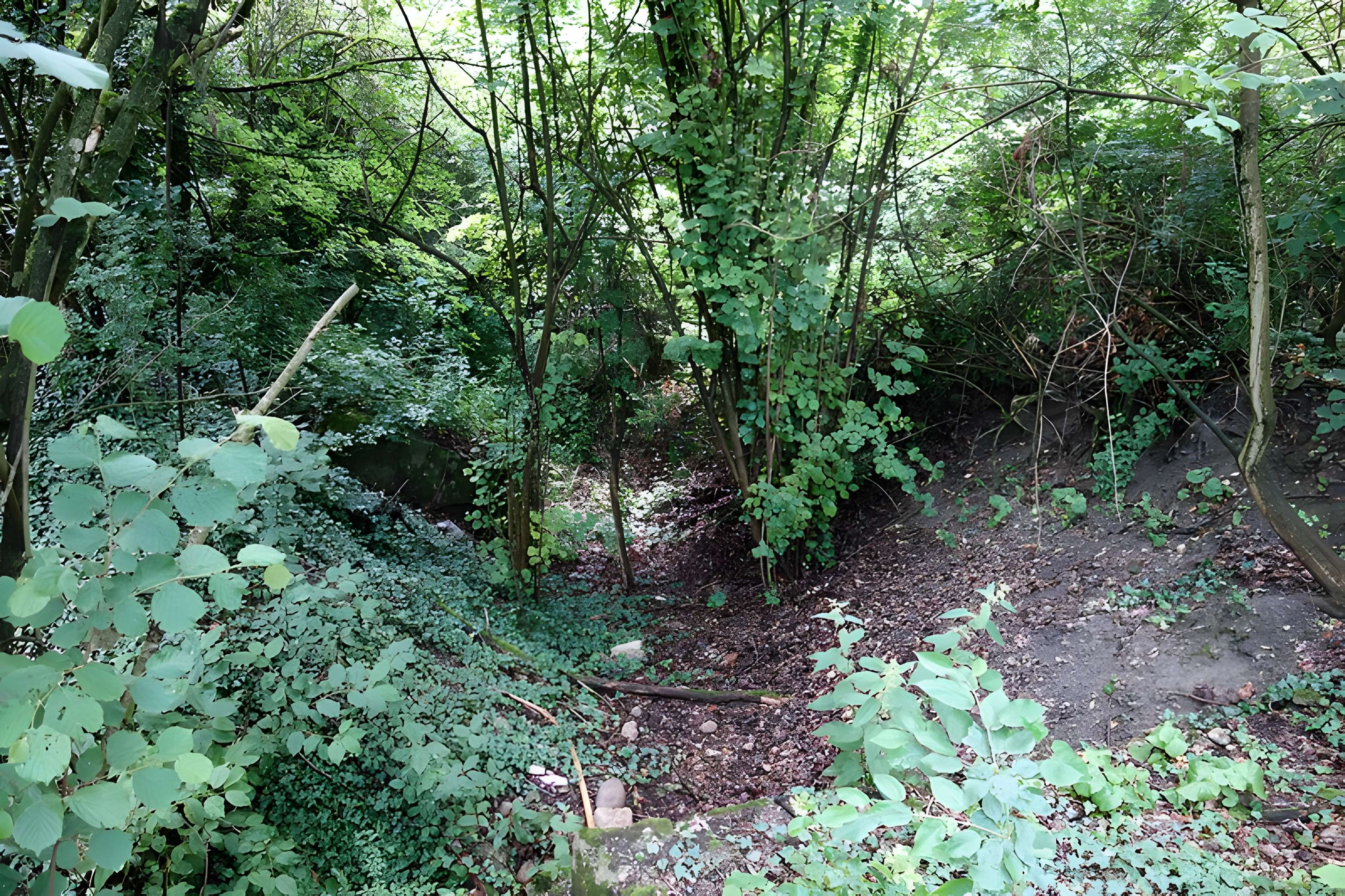 Vestiges du château de Butenheim