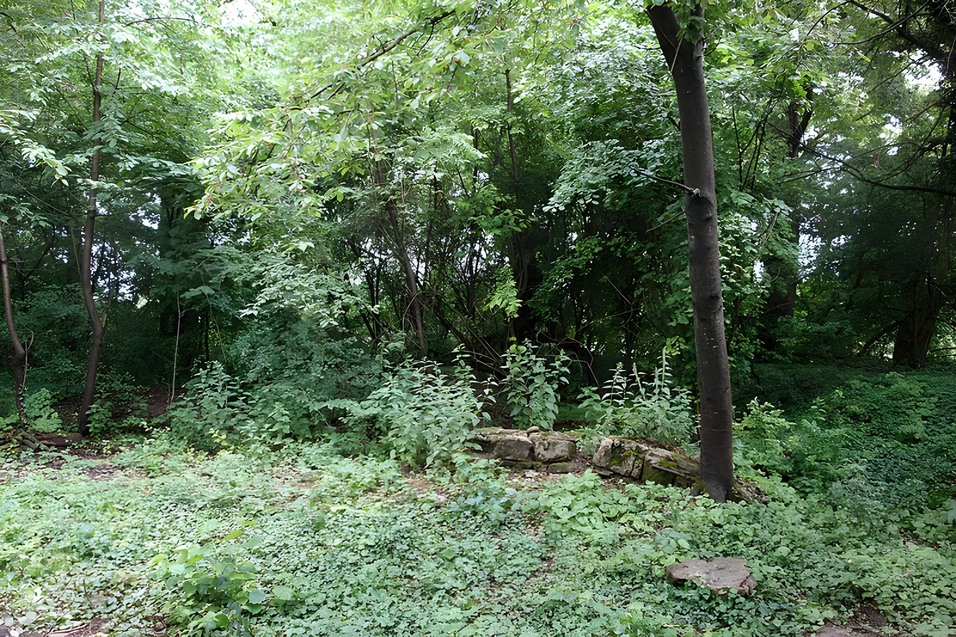 Vestiges du château de Butenheim