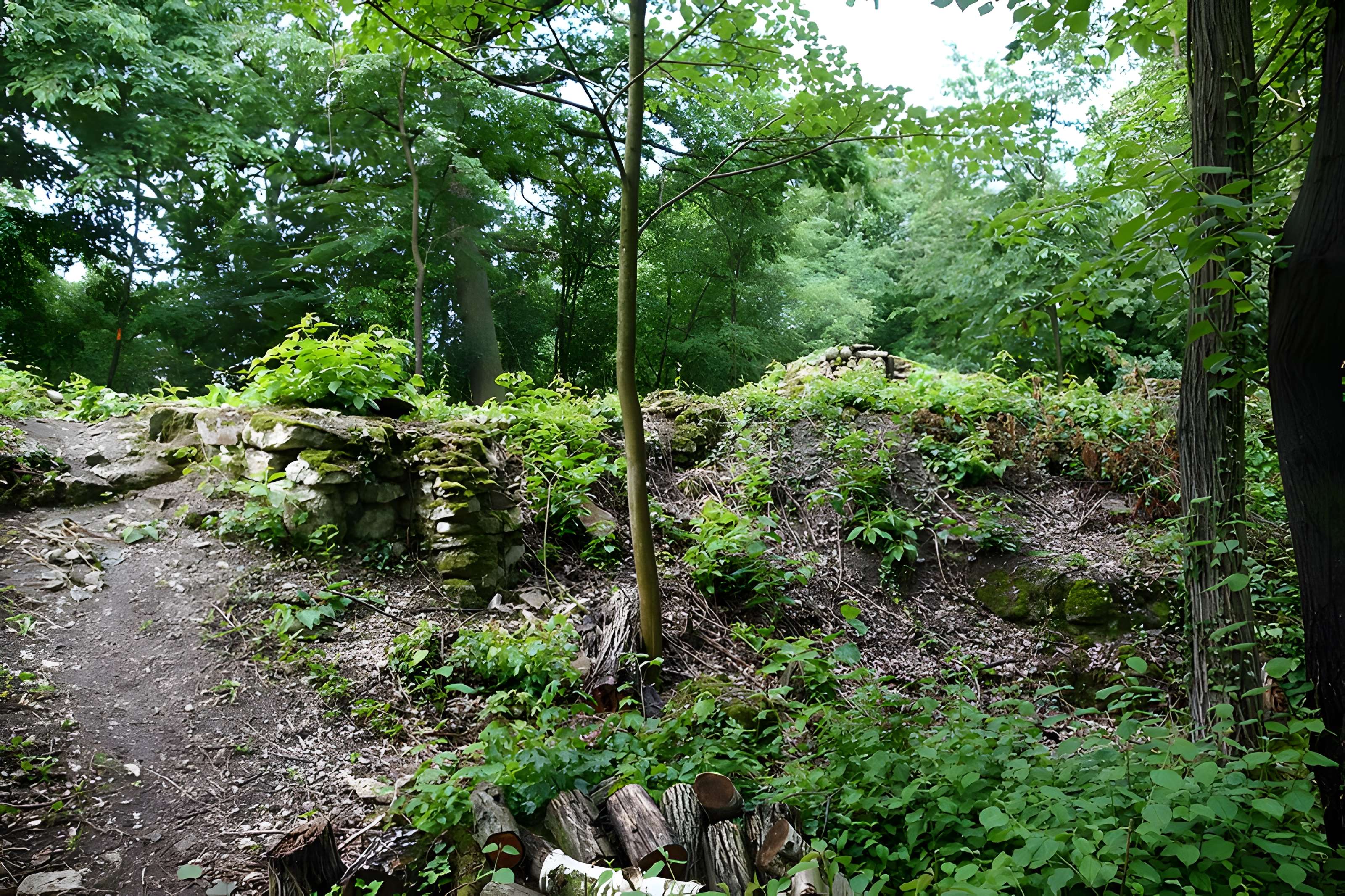 Vestiges du château de Butenheim