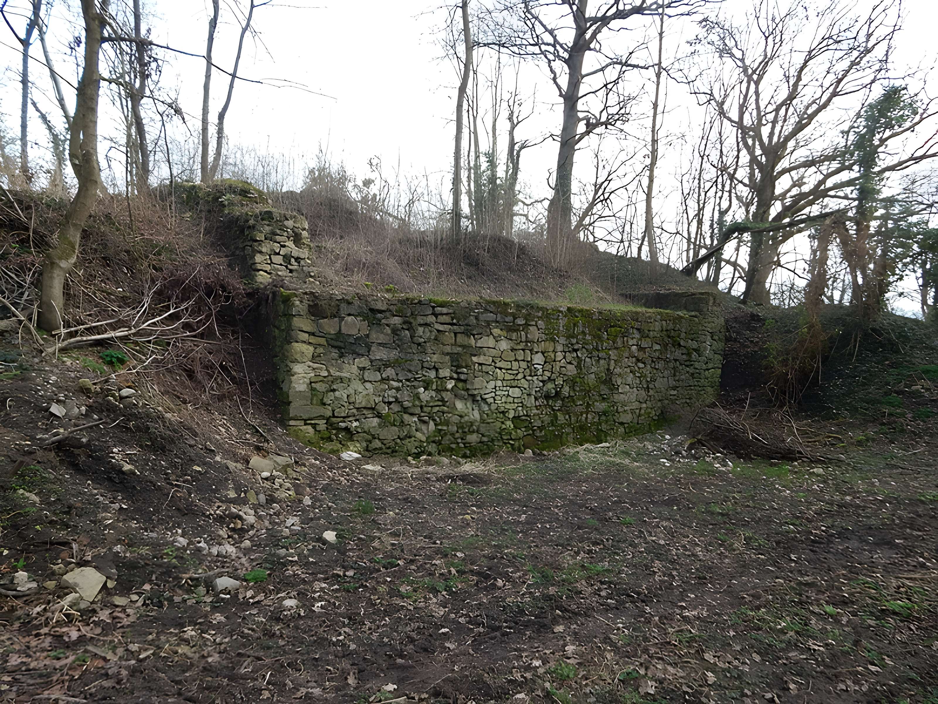 Vestiges du château de Butenheim