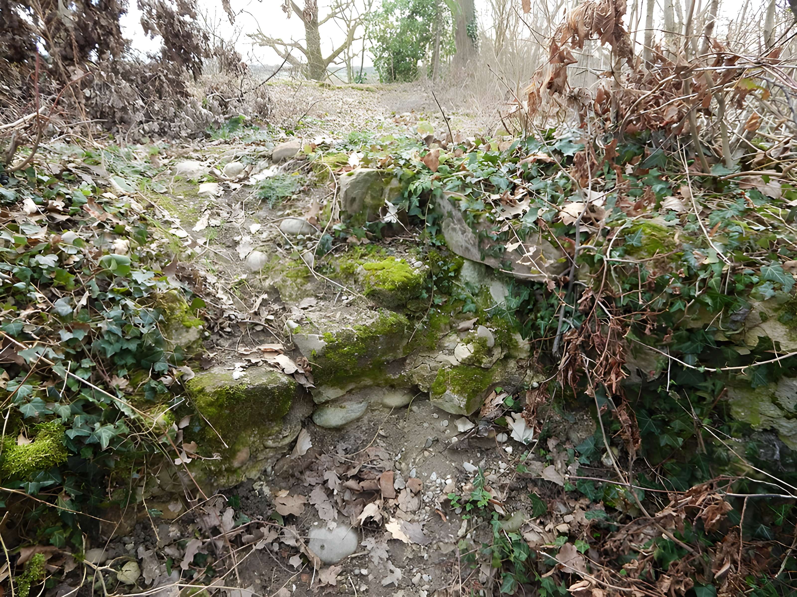 Vestiges du château de Butenheim