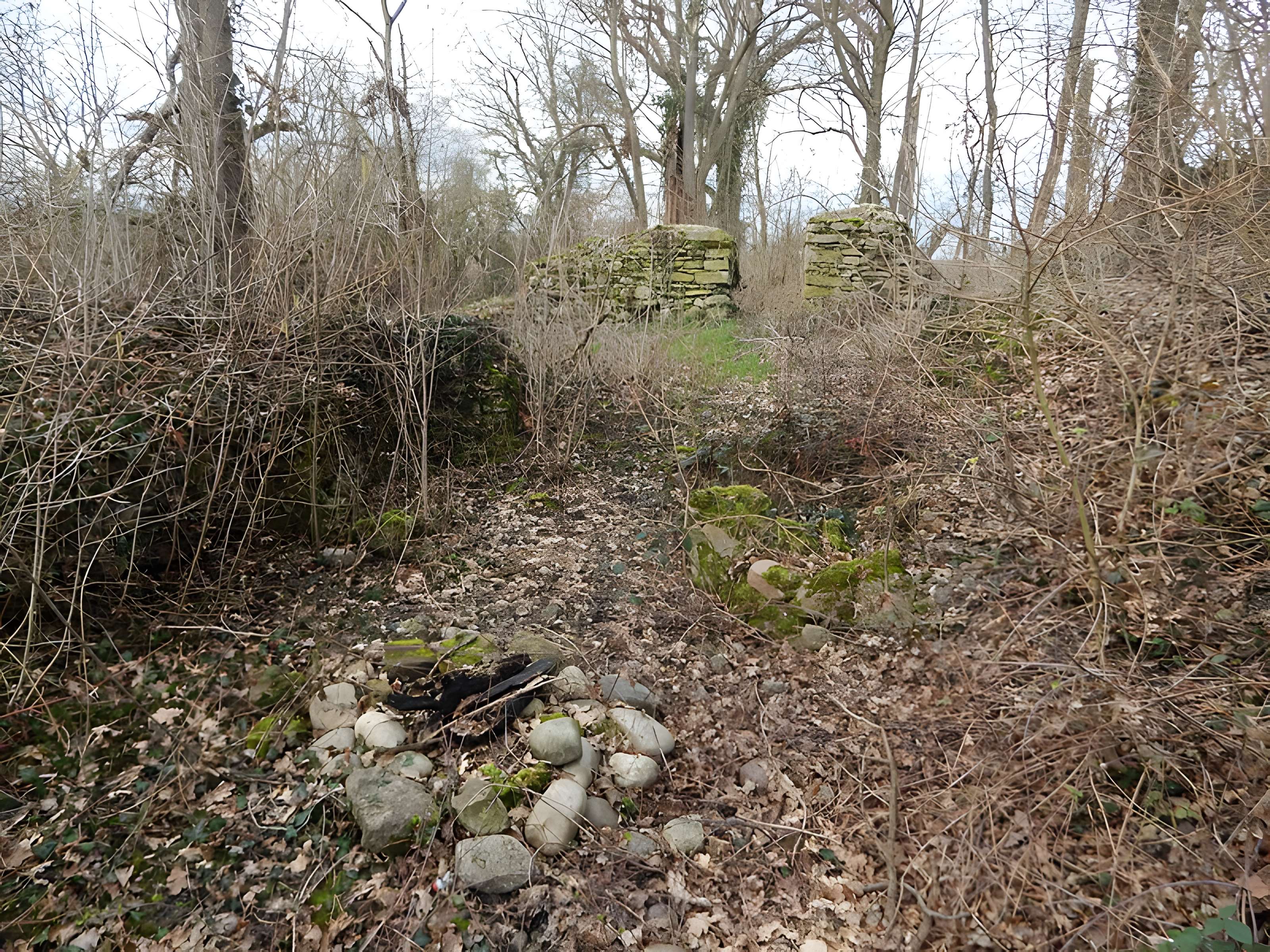 Vestiges du château de Butenheim