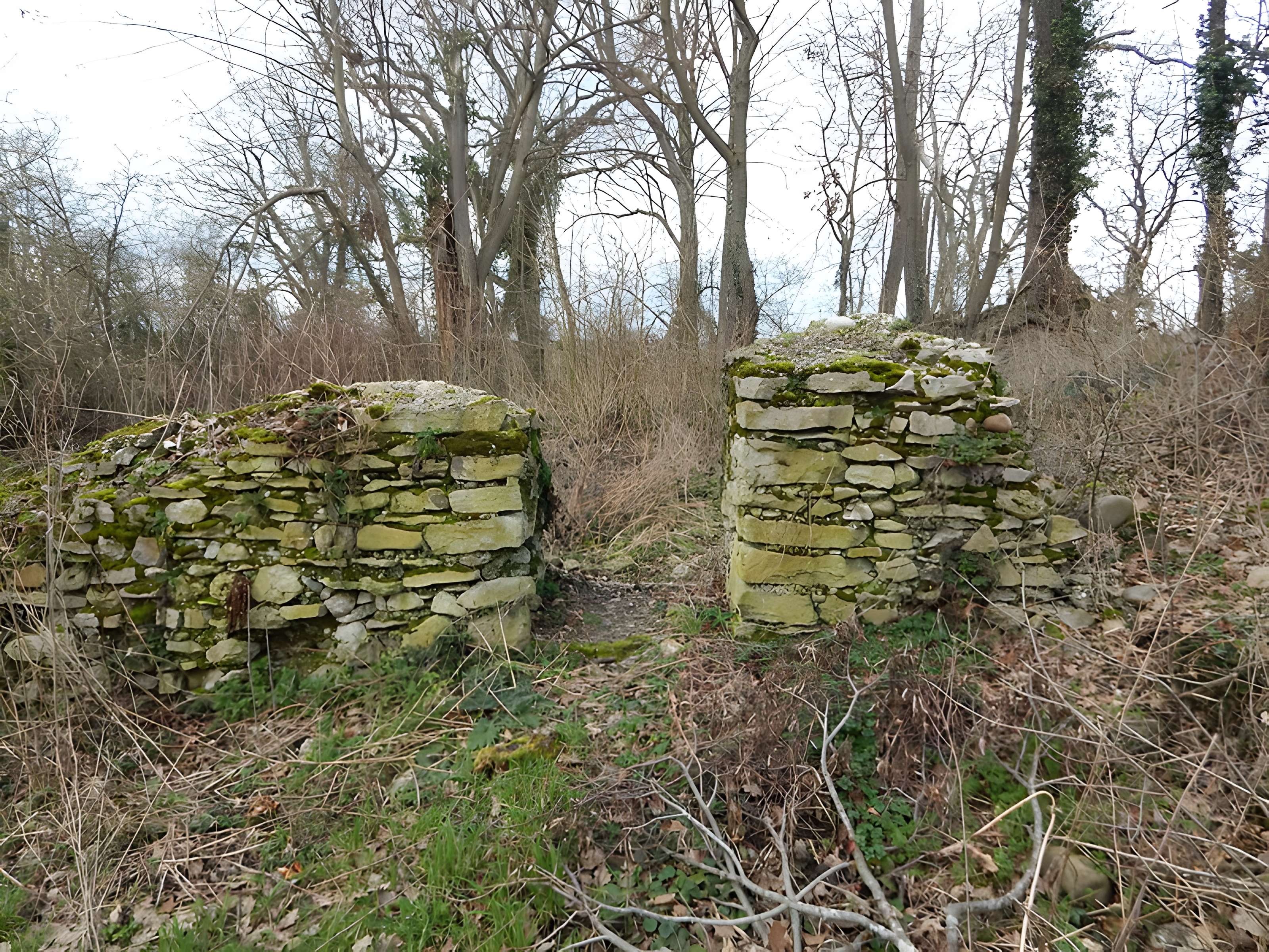 Vestiges du château de Butenheim