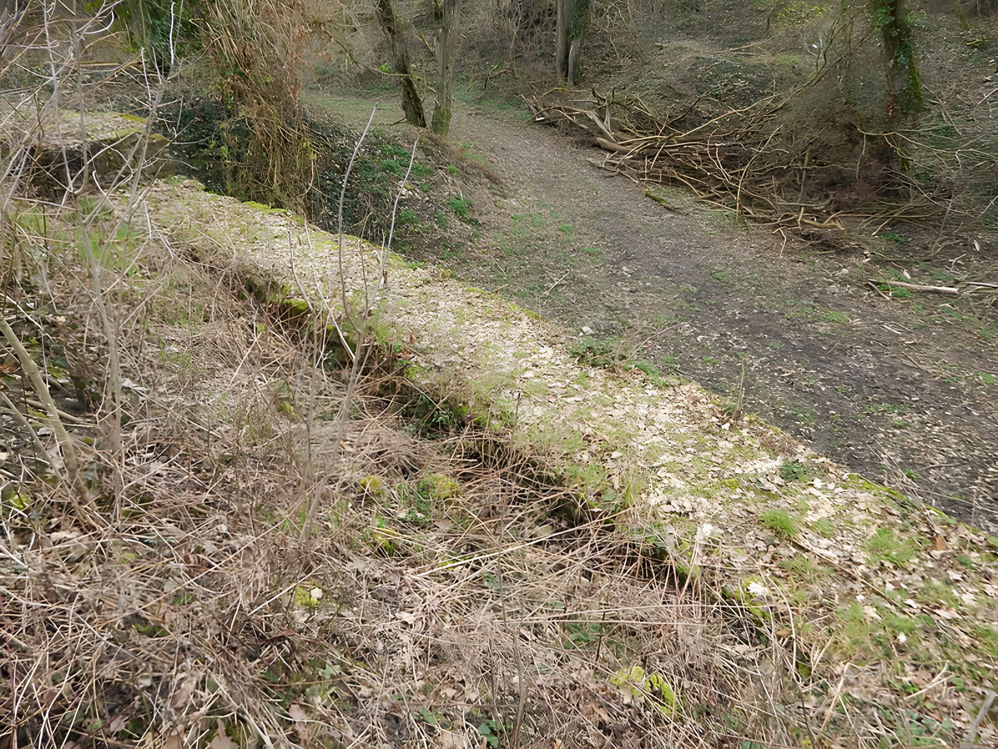 Vestiges du château de Butenheim