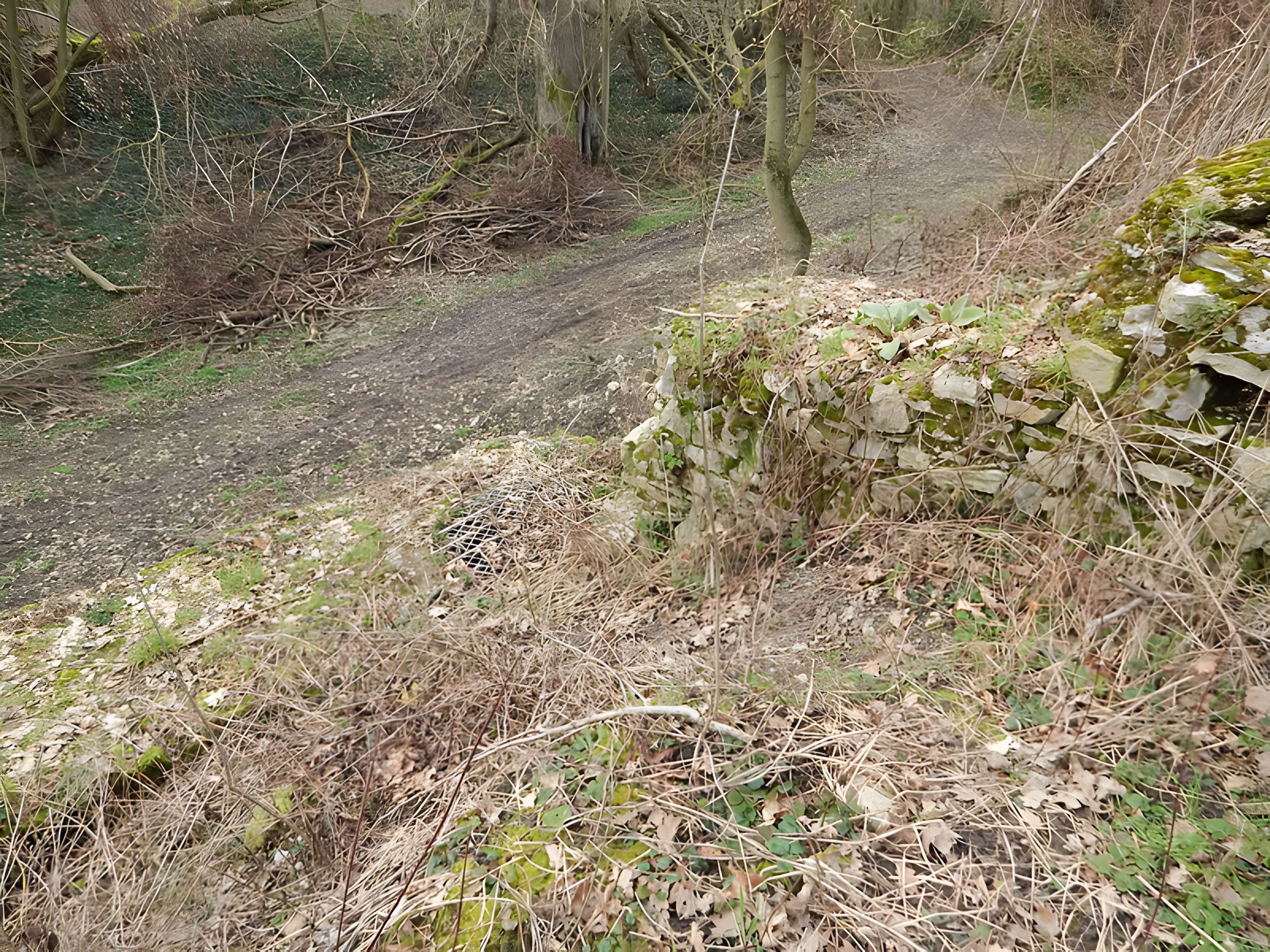 Vestiges du château de Butenheim
