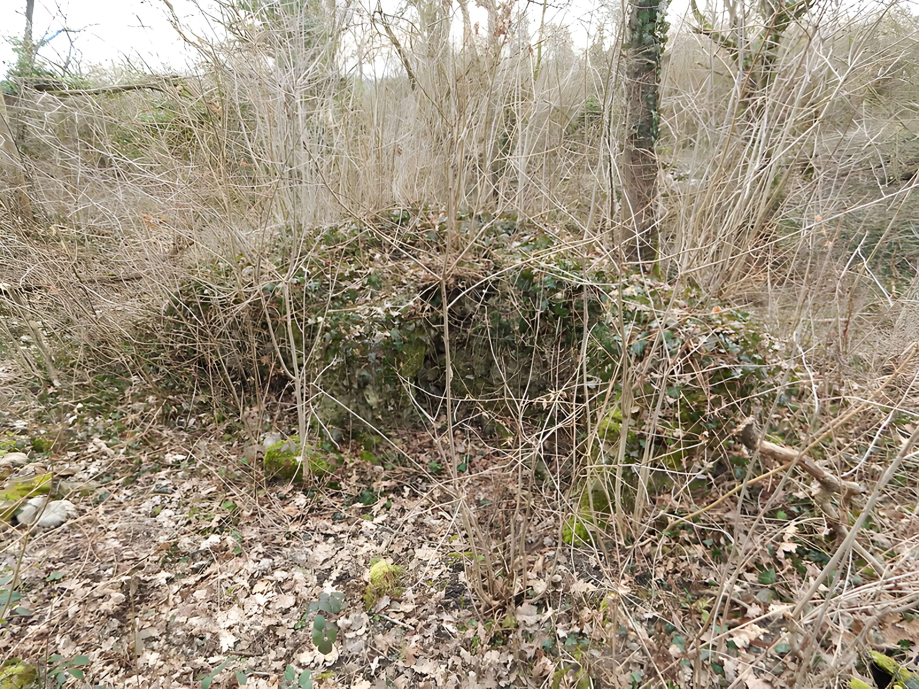 Vestiges du château de Butenheim