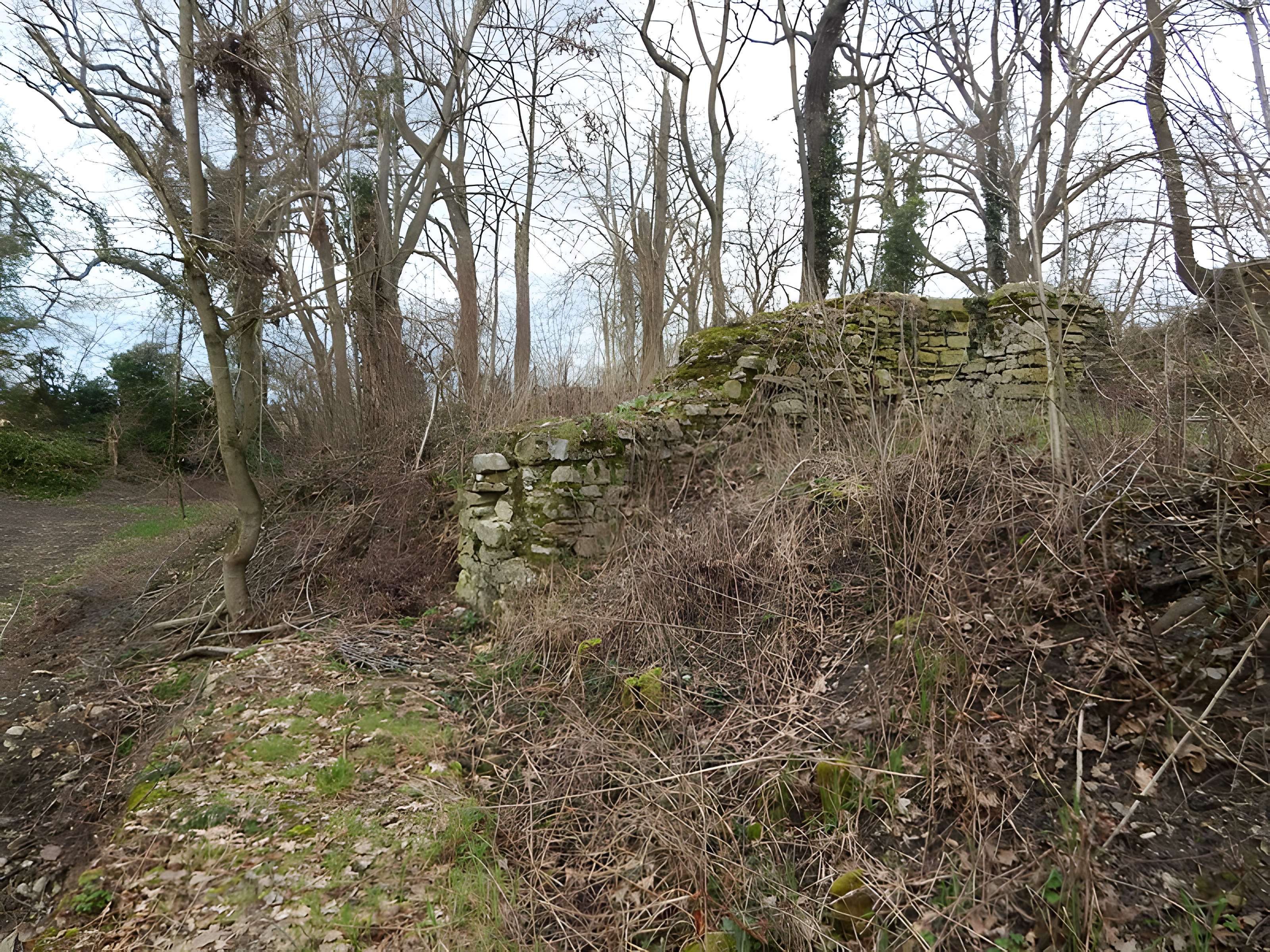 Vestiges du château de Butenheim