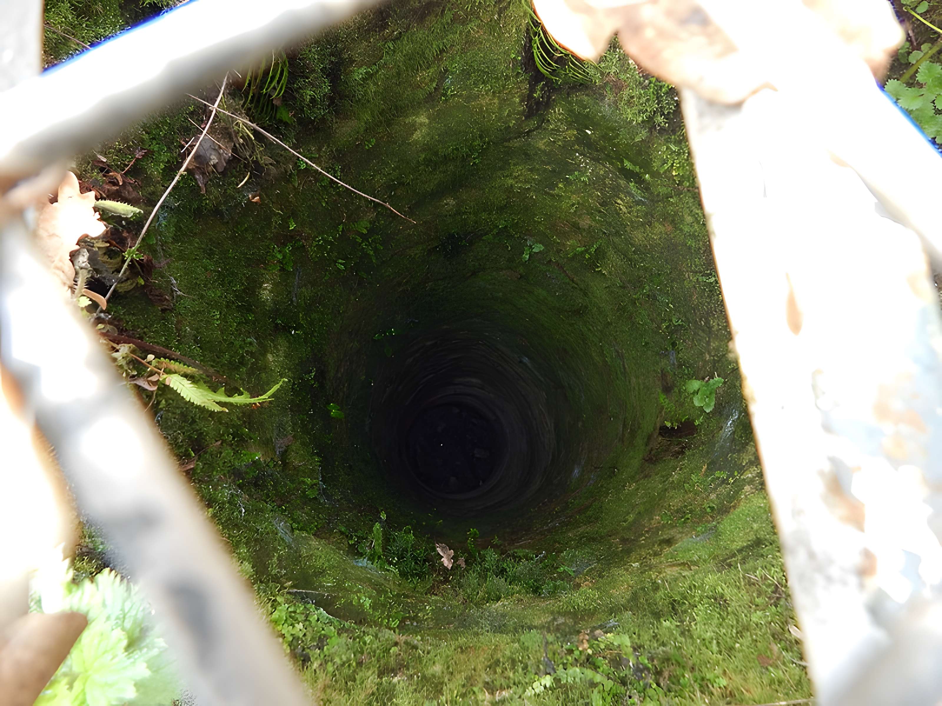 Vestiges du château de Butenheim