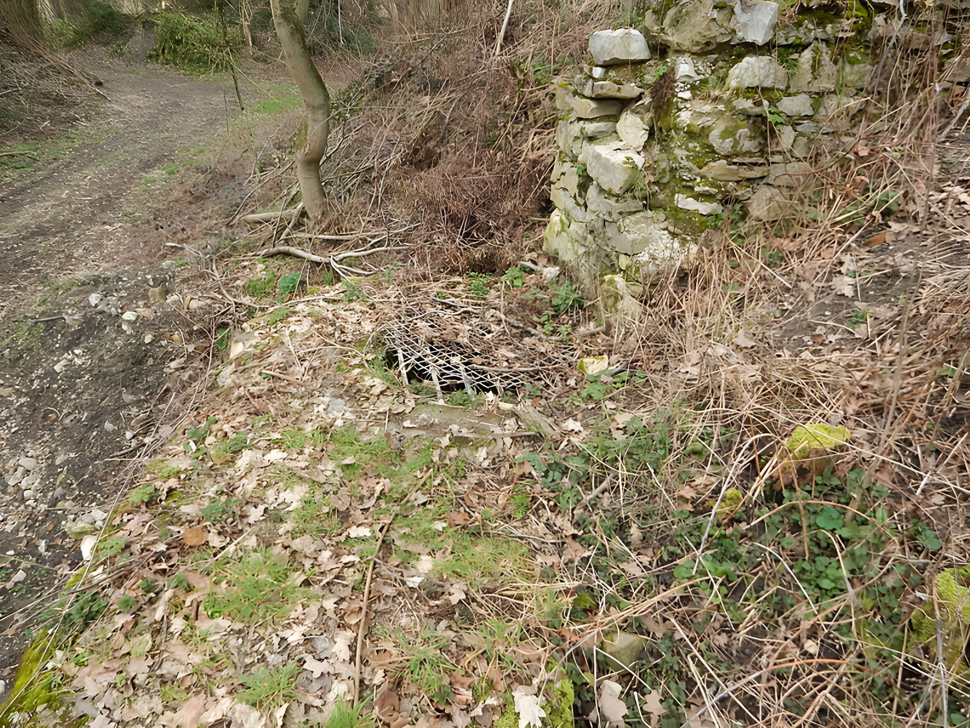 Vestiges du château de Butenheim