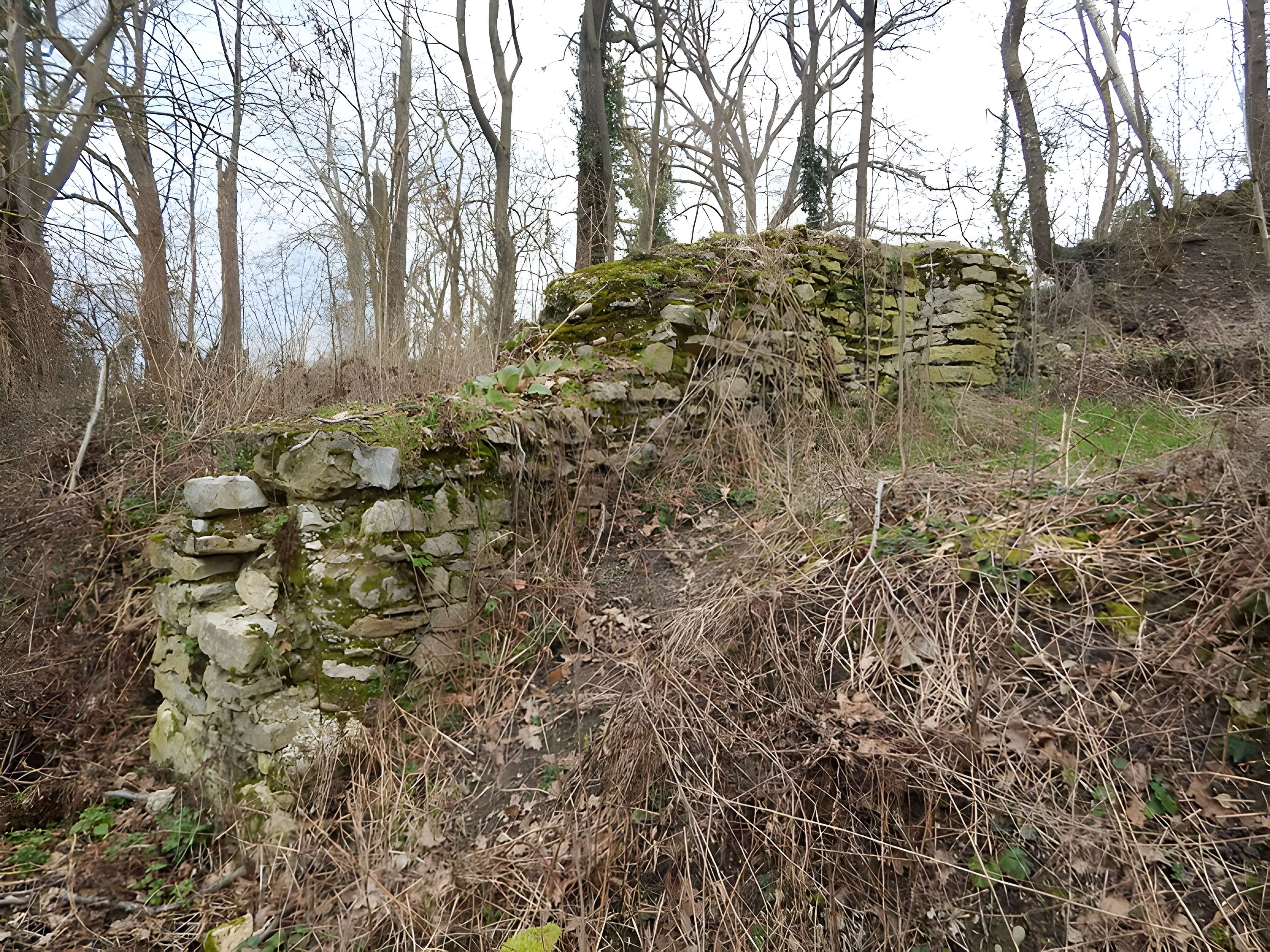 Vestiges du château de Butenheim
