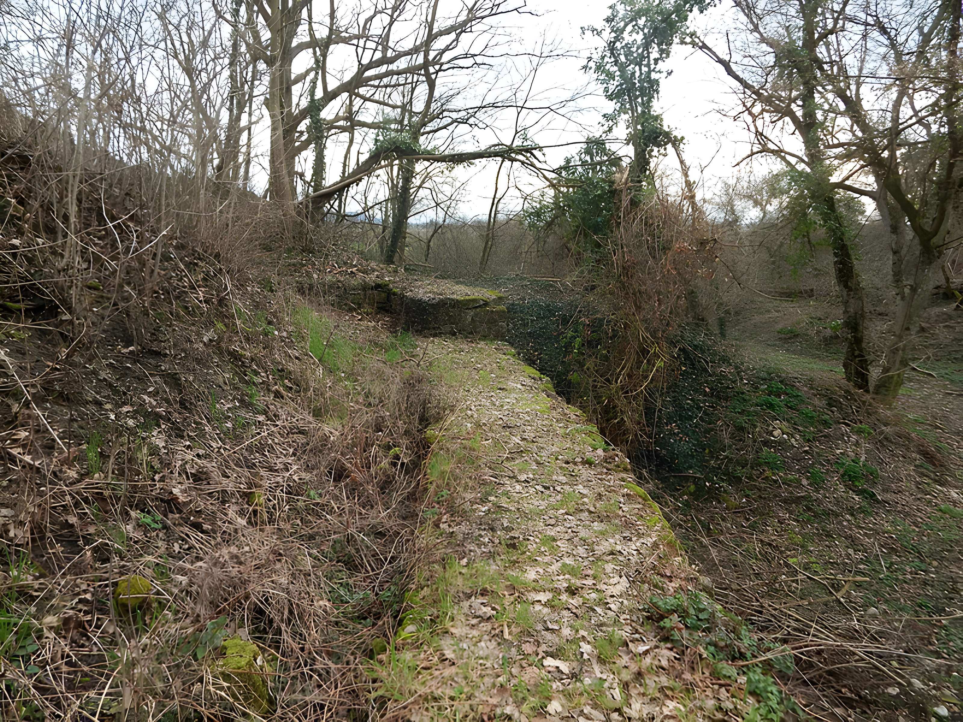 Vestiges du château de Butenheim