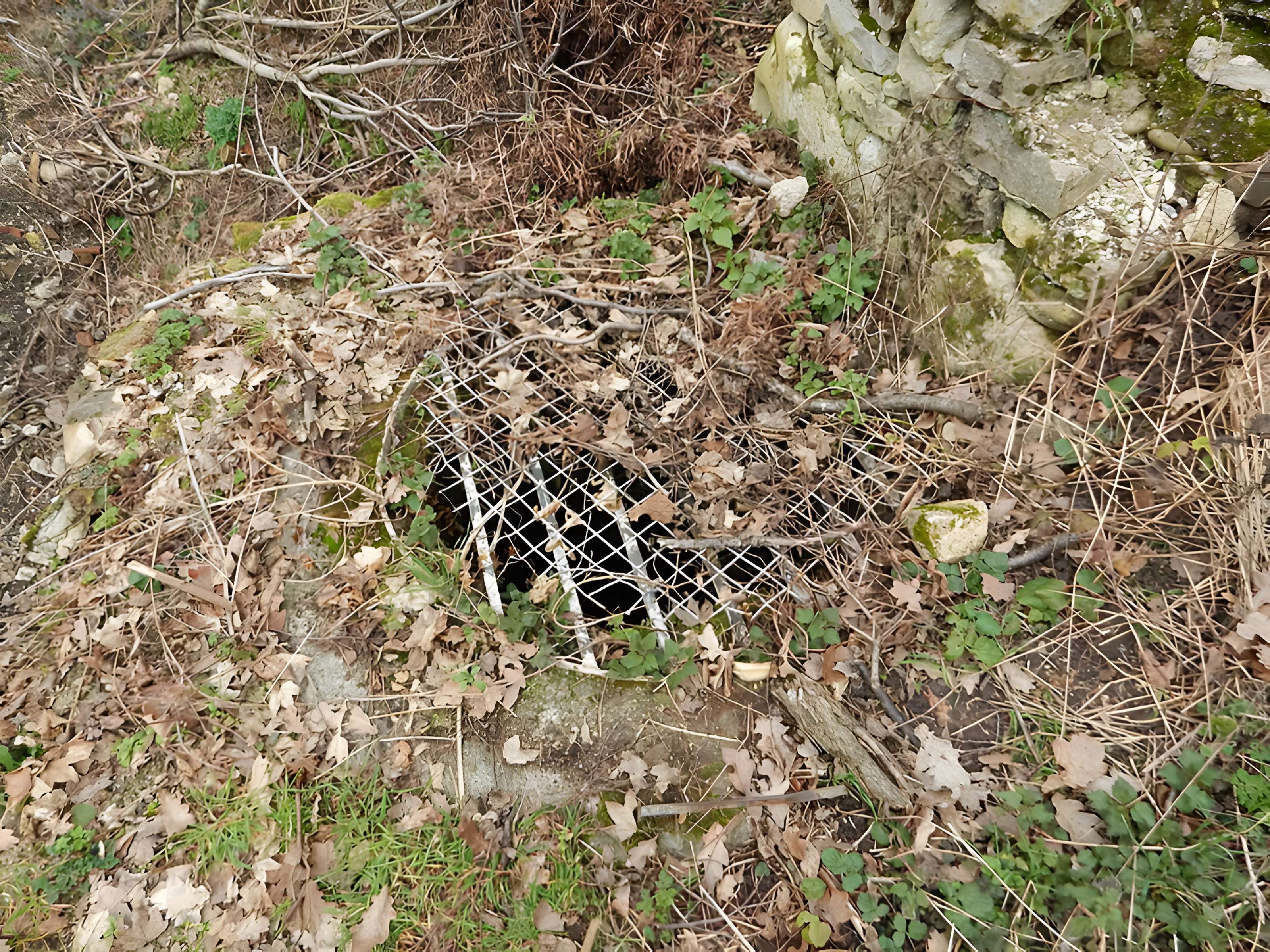 Vestiges du château de Butenheim