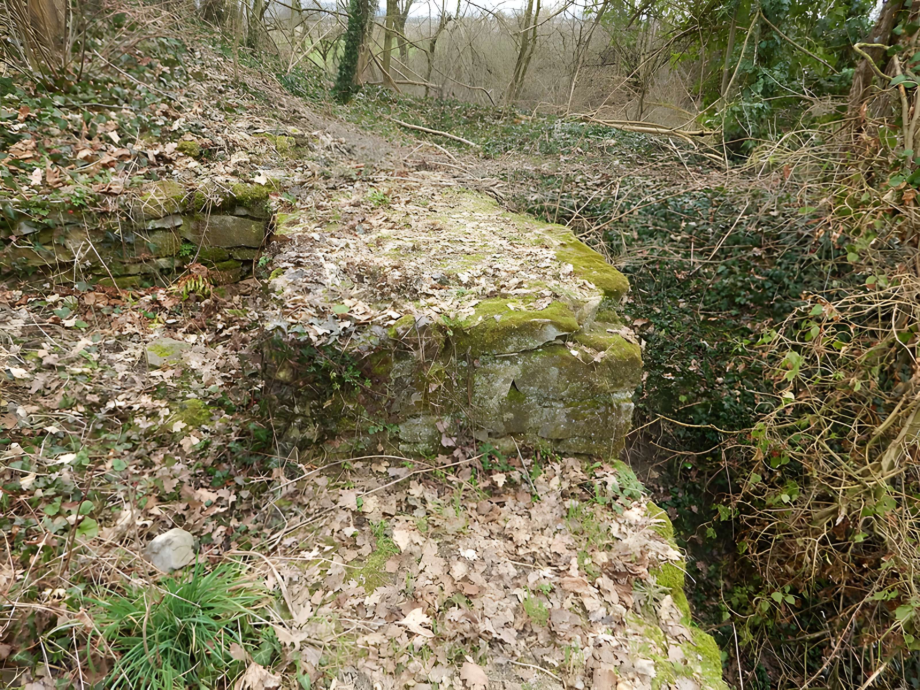 Vestiges du château de Butenheim
