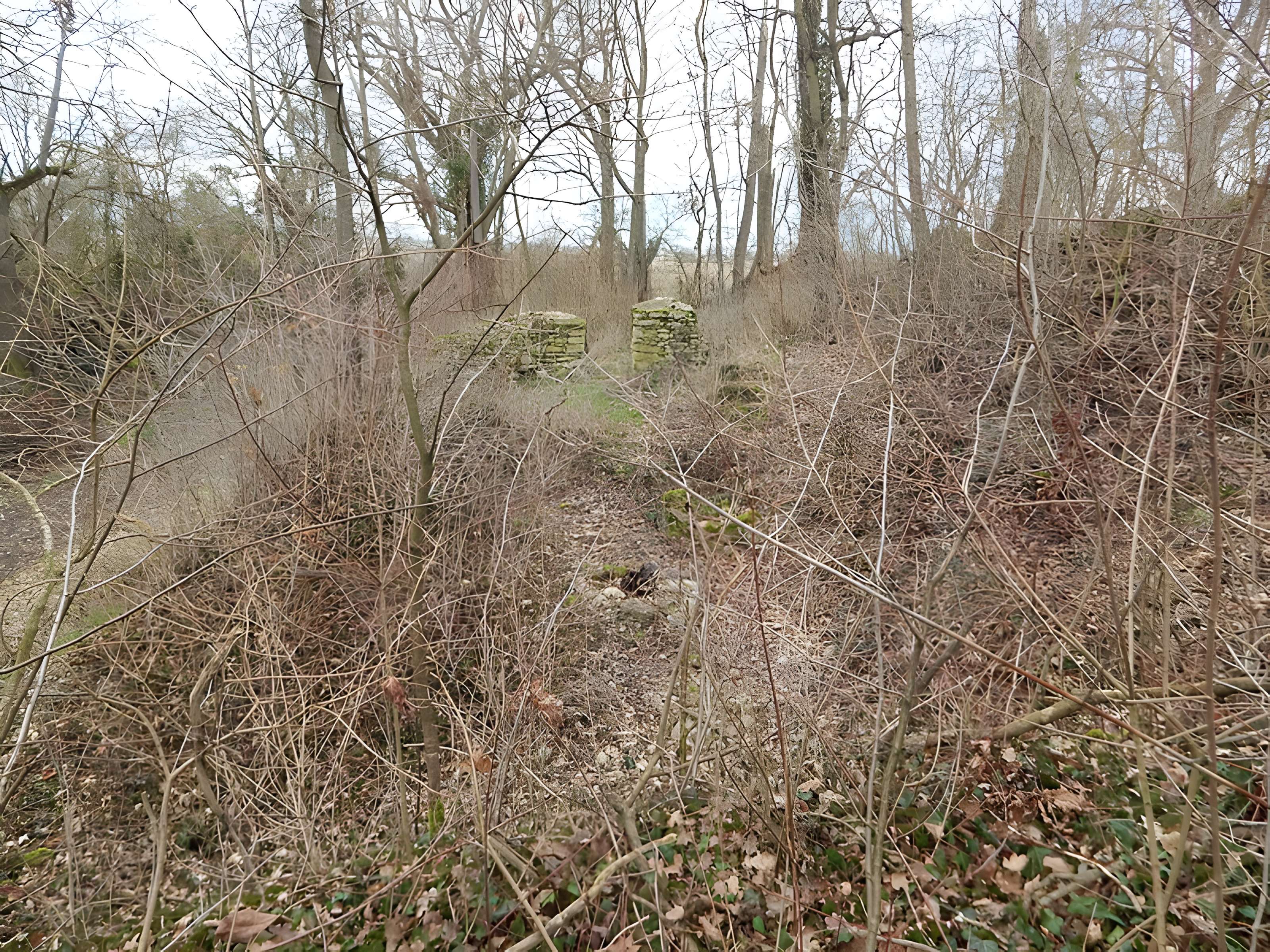 Vestiges du château de Butenheim