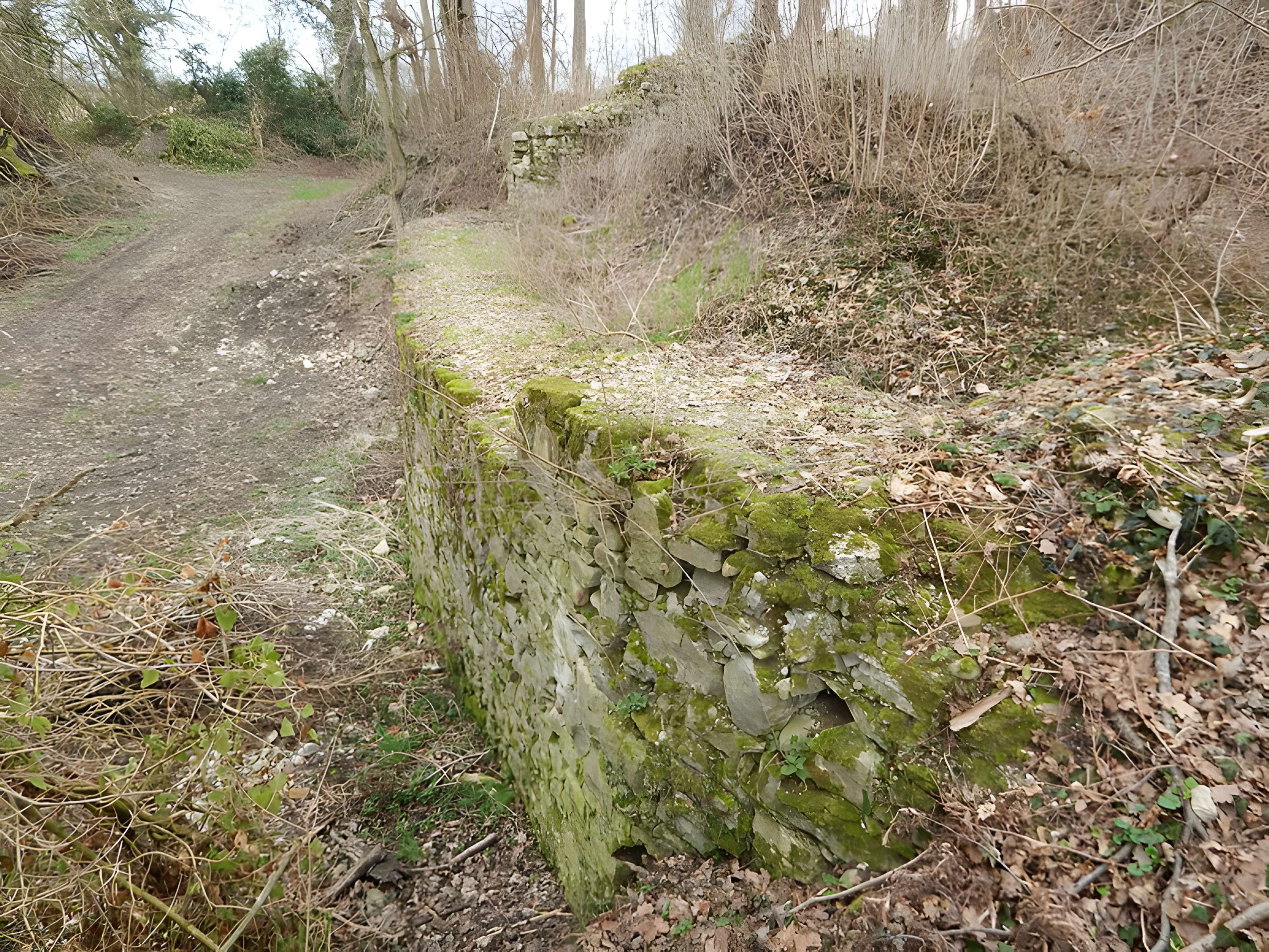 Vestiges du château de Butenheim