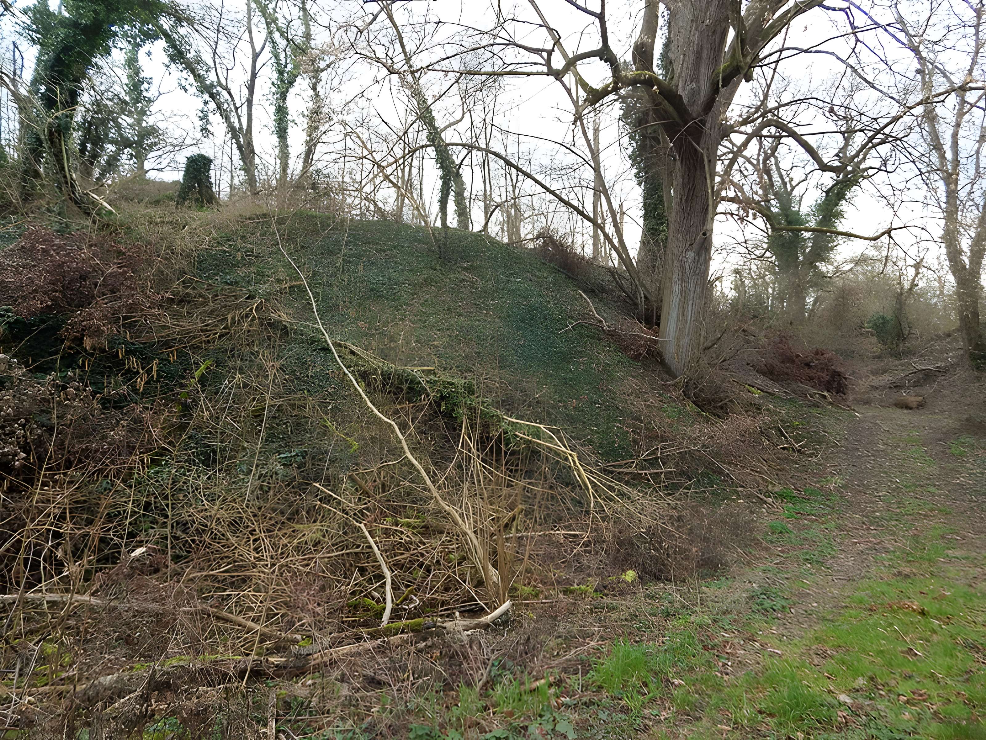 Vestiges du château de Butenheim