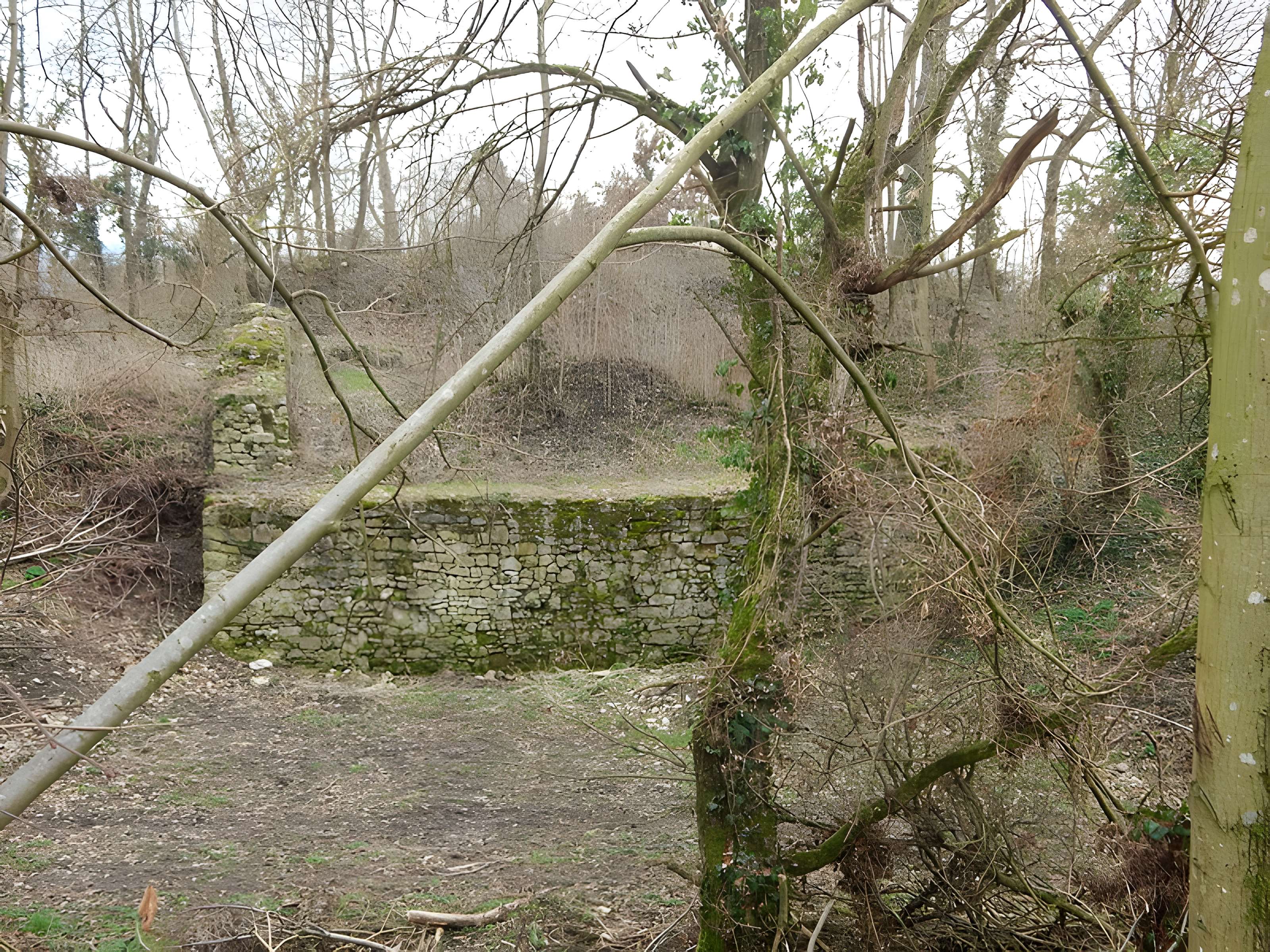 Vestiges du château de Butenheim