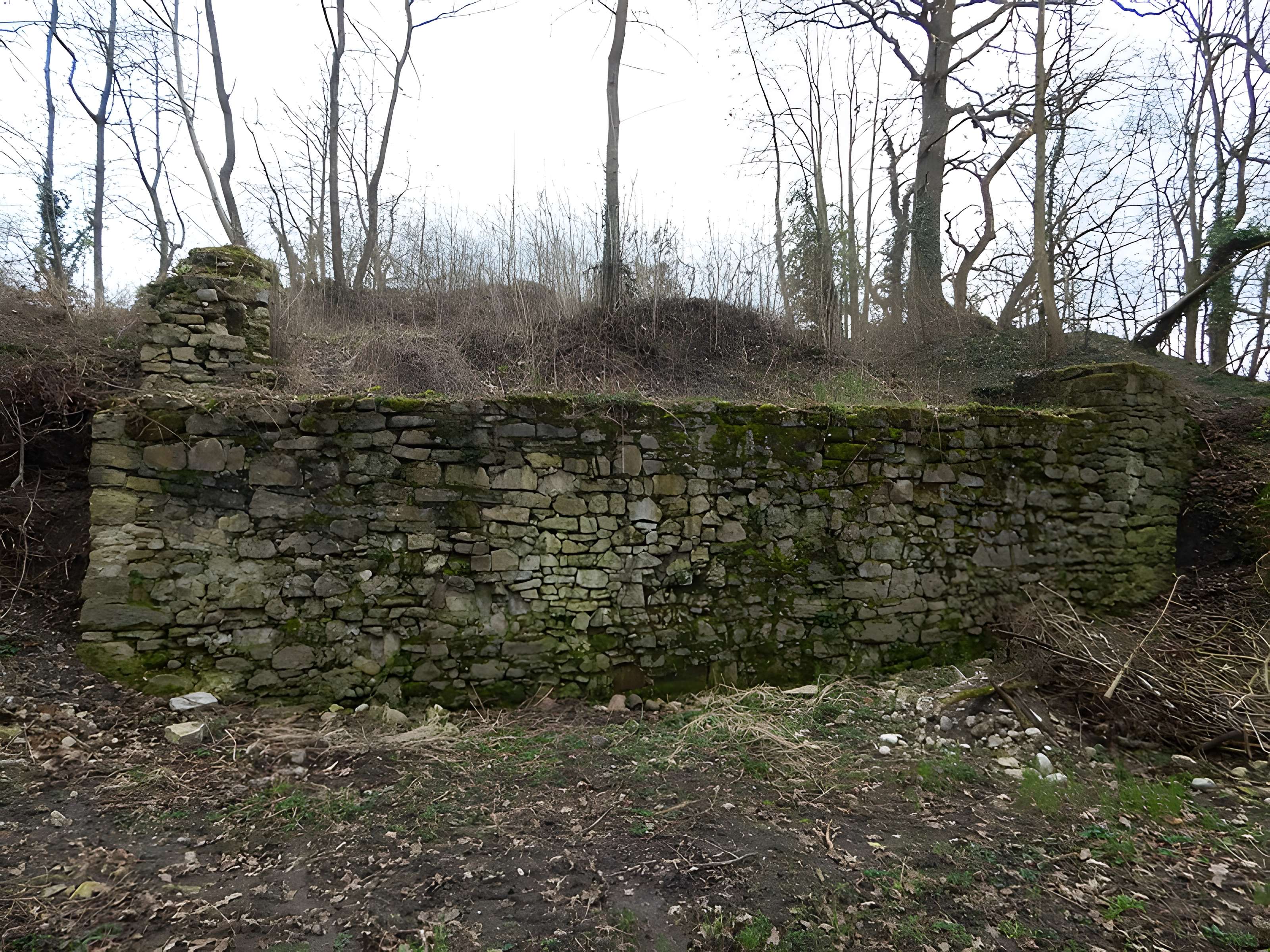 Vestiges du château de Butenheim