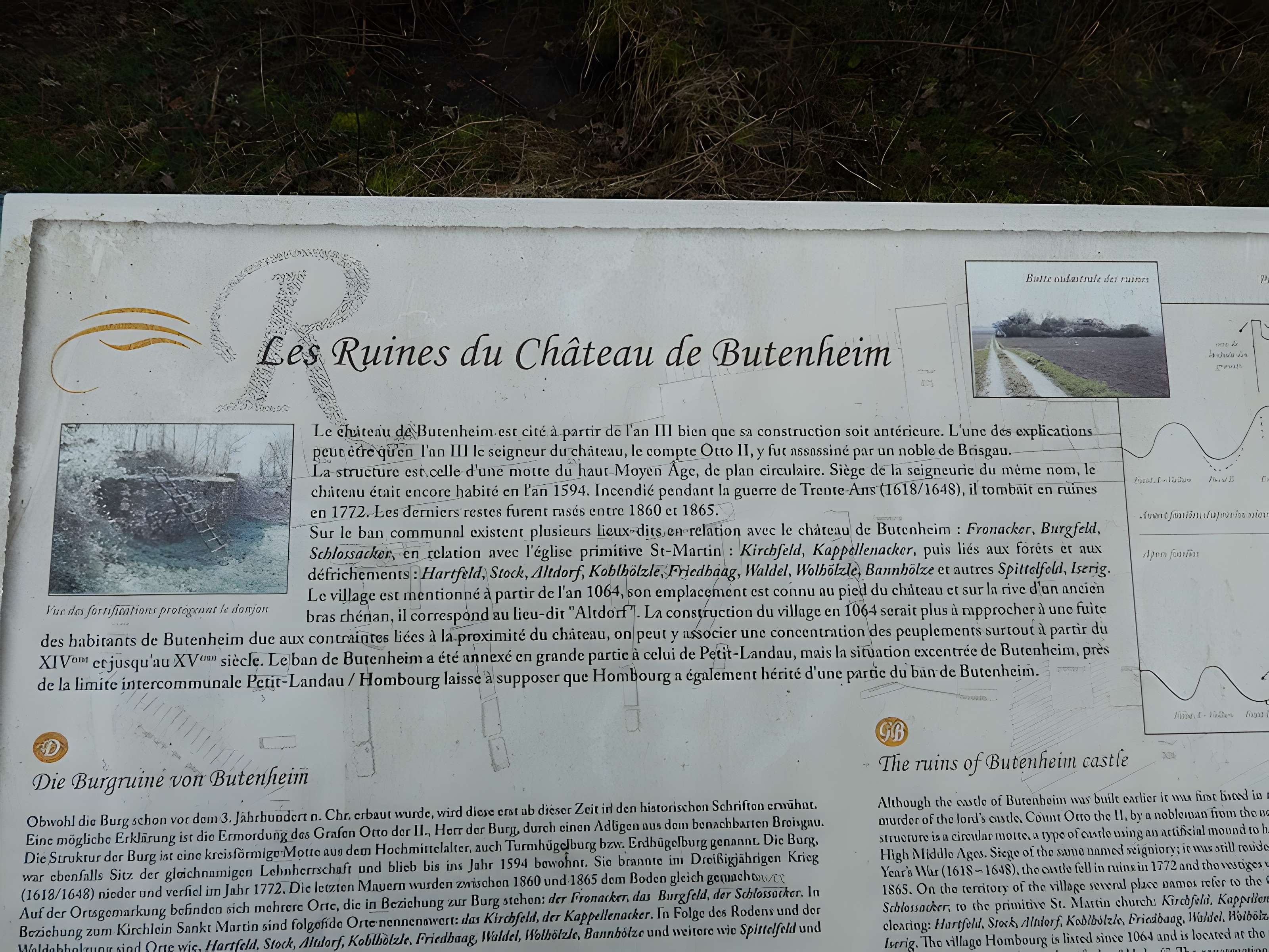 Vestiges du château de Butenheim