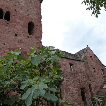 Grange monastique de Ruffepeyre à Mayran