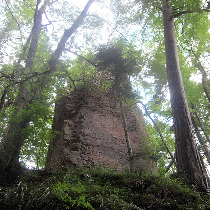 Photo de Ruines du château de Reichenstein