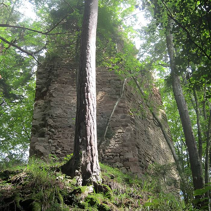 Photo de Ruines du château de Reichenstein