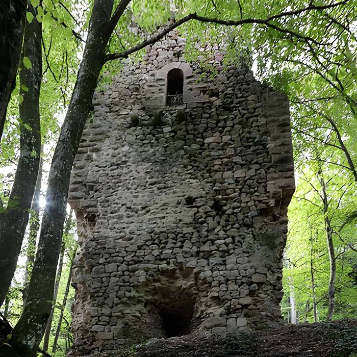 Photo de Ruines du château de Reichenstein