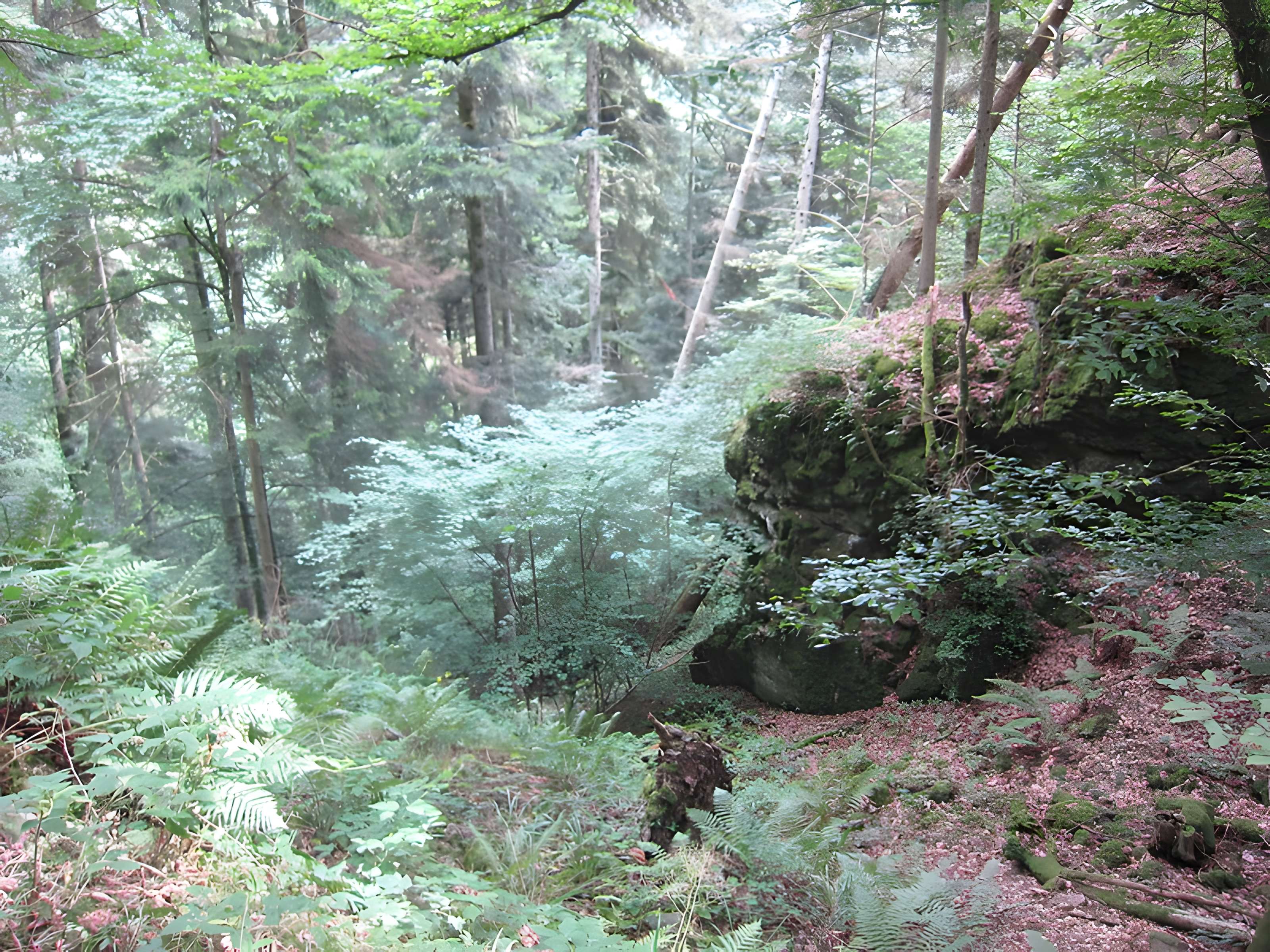 Ruines du château de Reichenstein