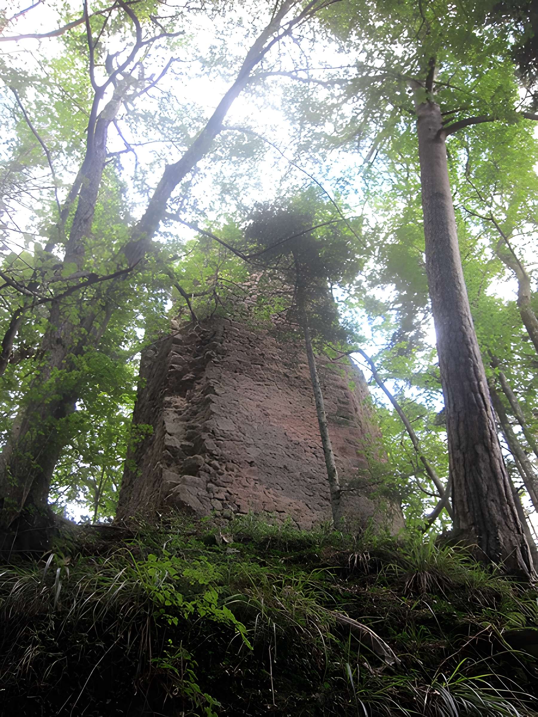 Ruines du château de Reichenstein