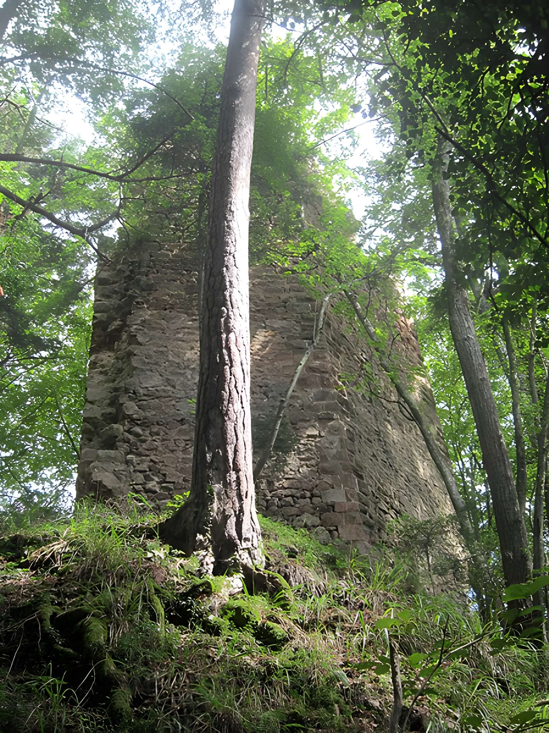 Ruines du château de Reichenstein