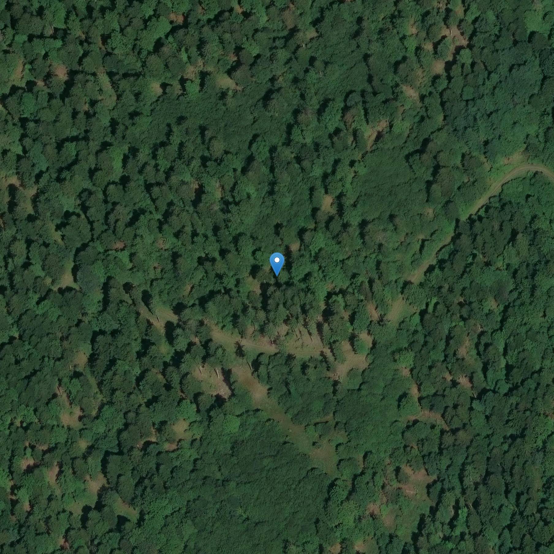 Photo de Neolithische carrière van gepolijste bladen op de plaats genaamd Finsterbach