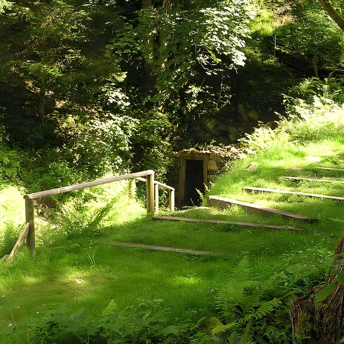 Photo de Anciennes mines dargent du massif de Neuenberg