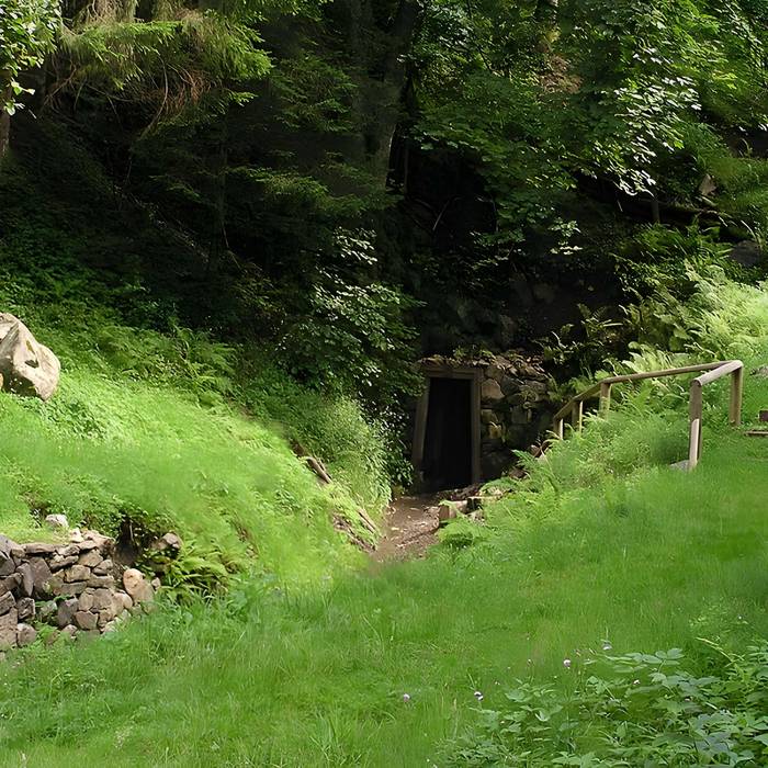 Photo de Anciennes mines dargent du massif de Neuenberg