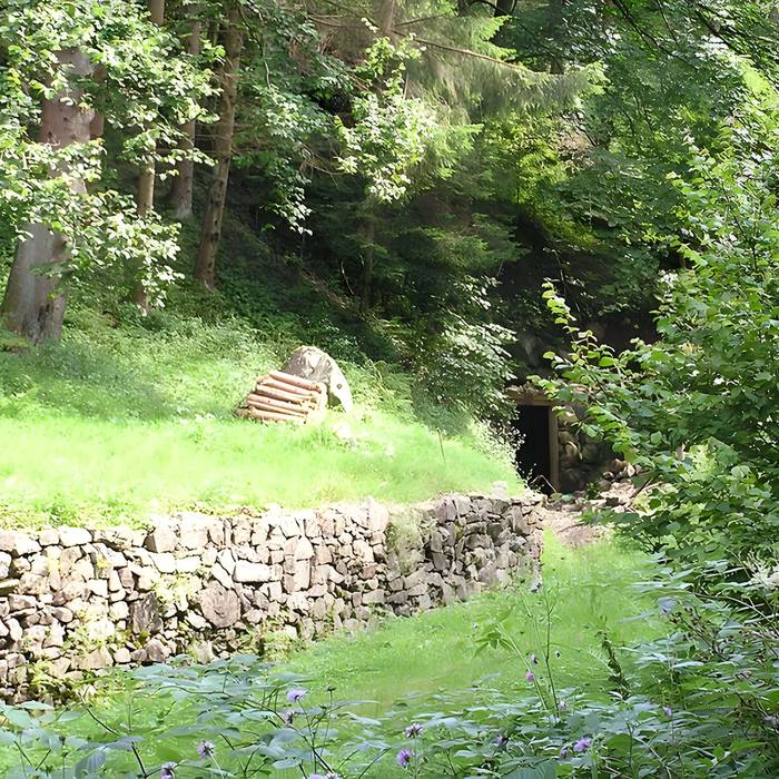Photo de Anciennes mines dargent du massif de Neuenberg