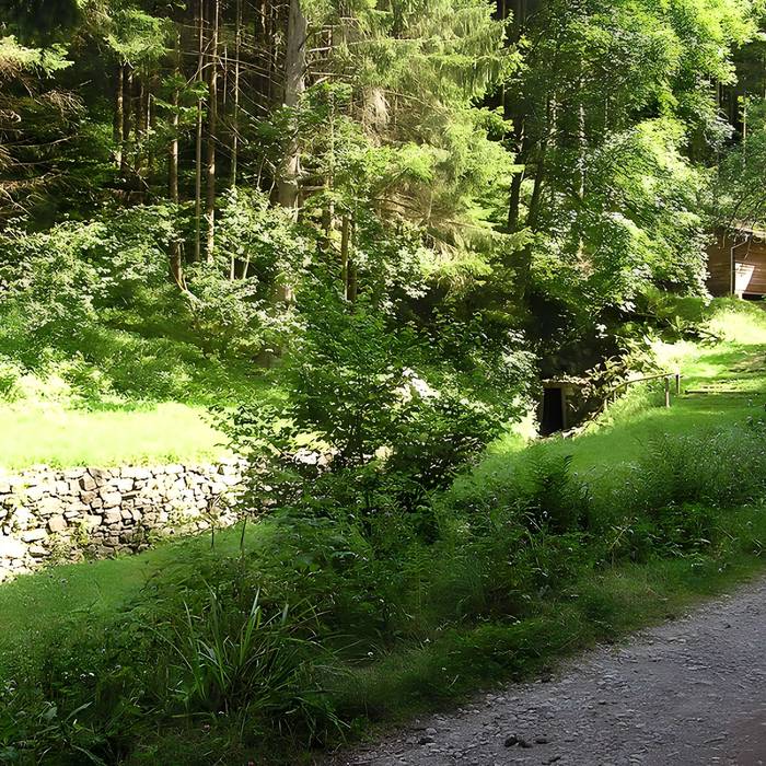 Photo de Anciennes mines dargent du massif de Neuenberg