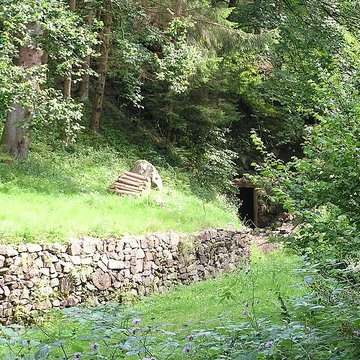 Anciennes mines dargent du massif de Neuenberg