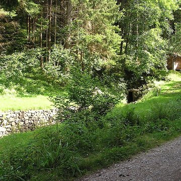 Anciennes mines dargent du massif de Neuenberg