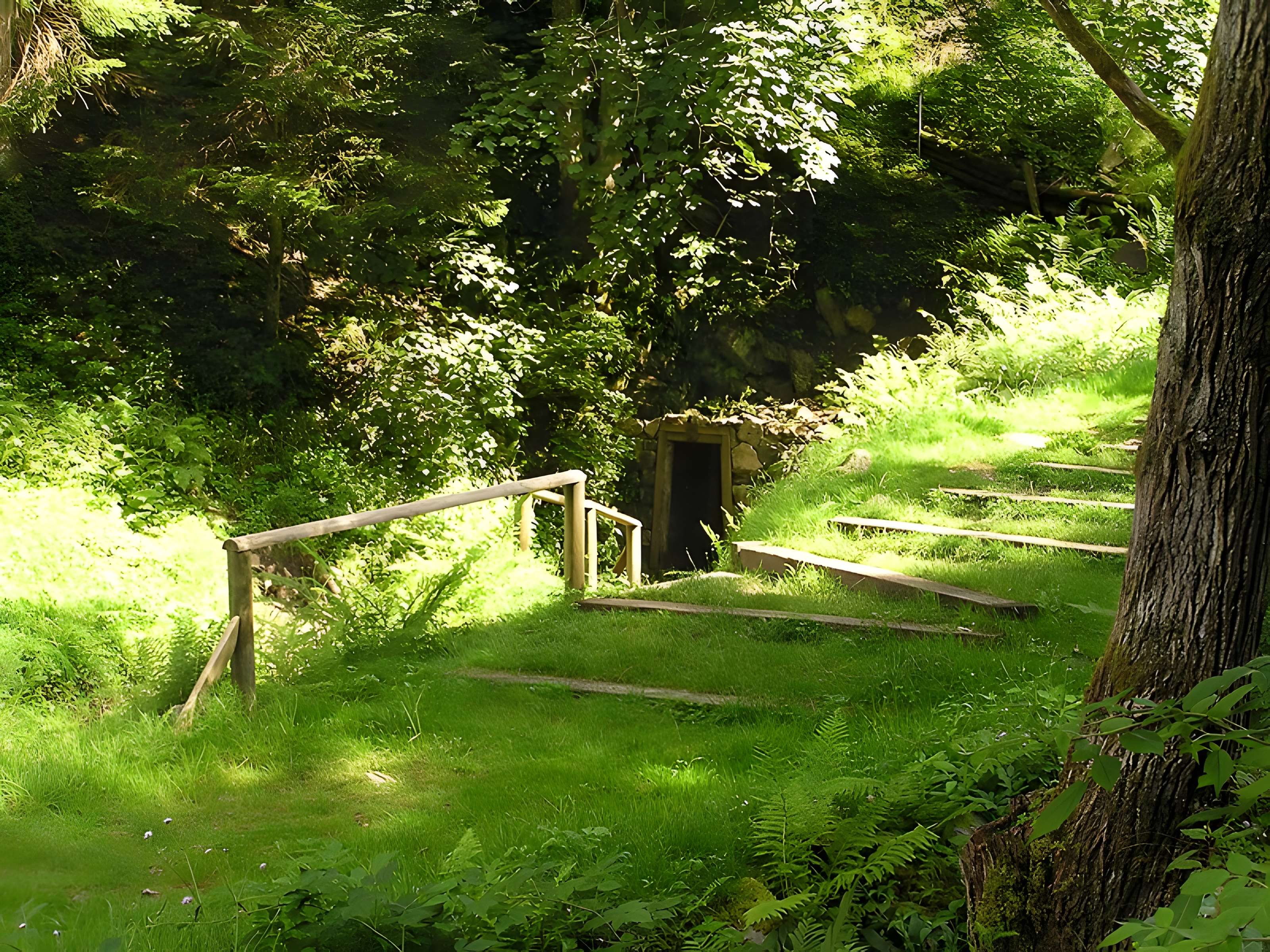 Anciennes mines d'argent du massif de Neuenberg