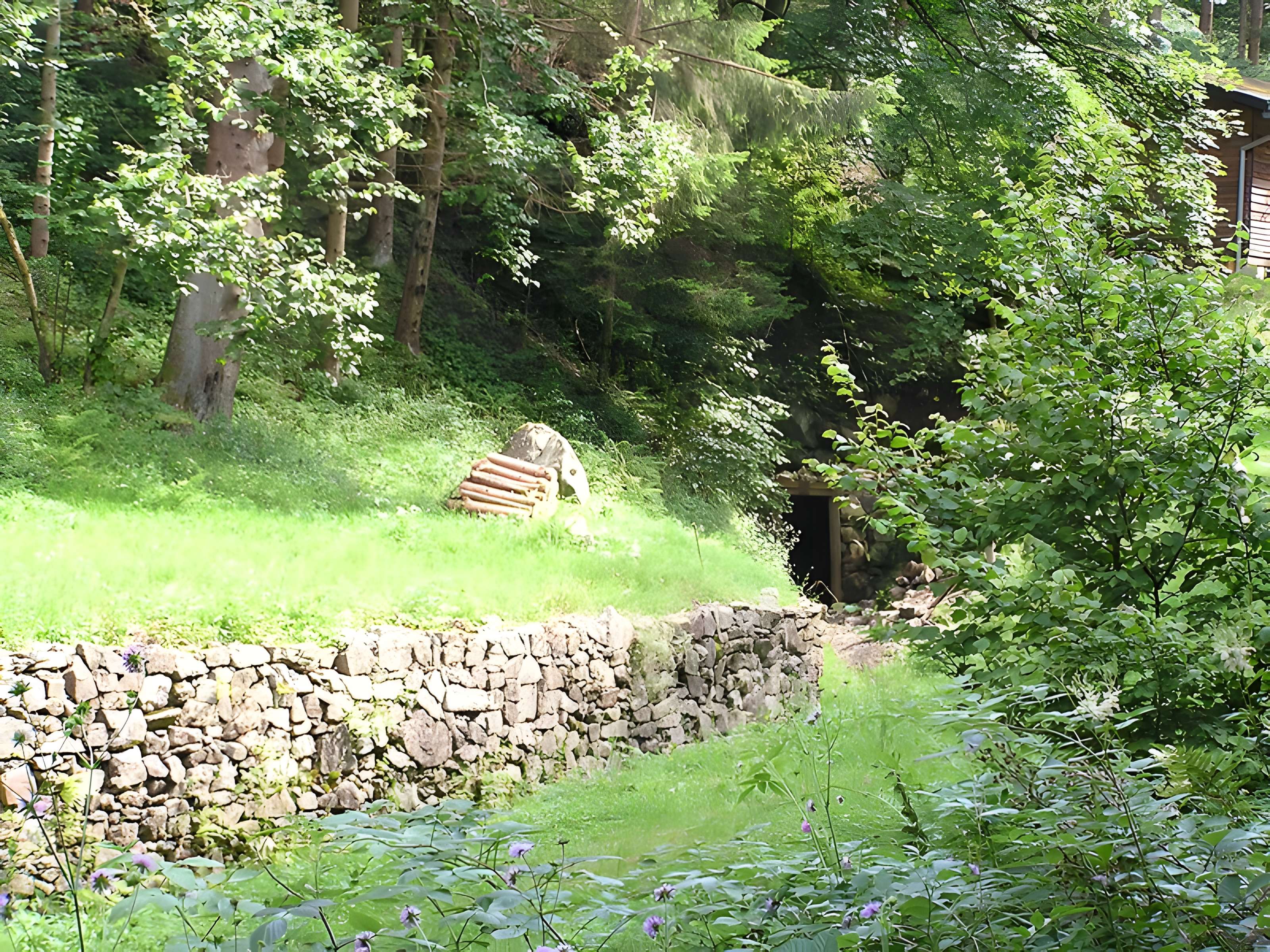 Anciennes mines d'argent du massif de Neuenberg