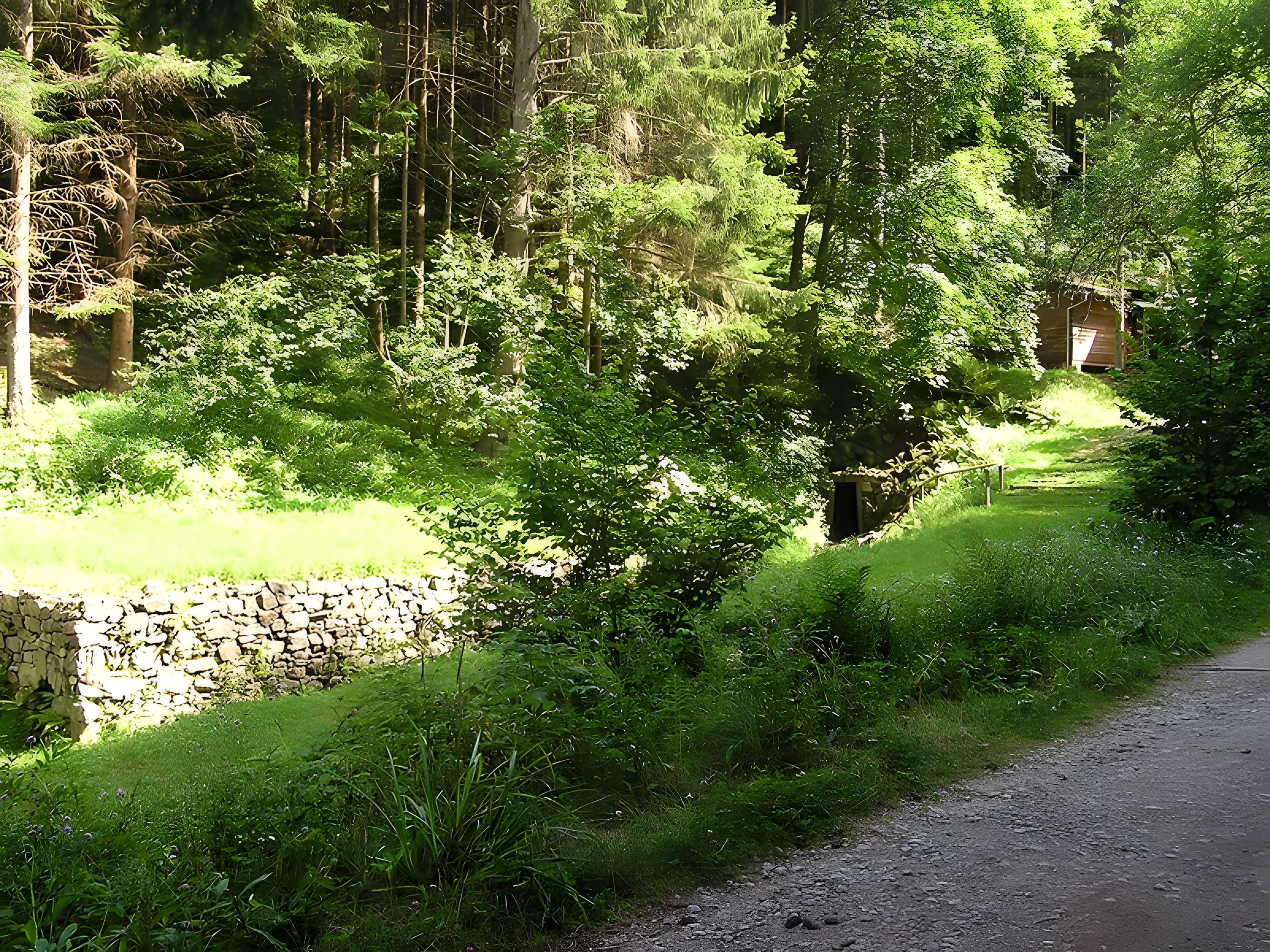 Anciennes mines d'argent du massif de Neuenberg